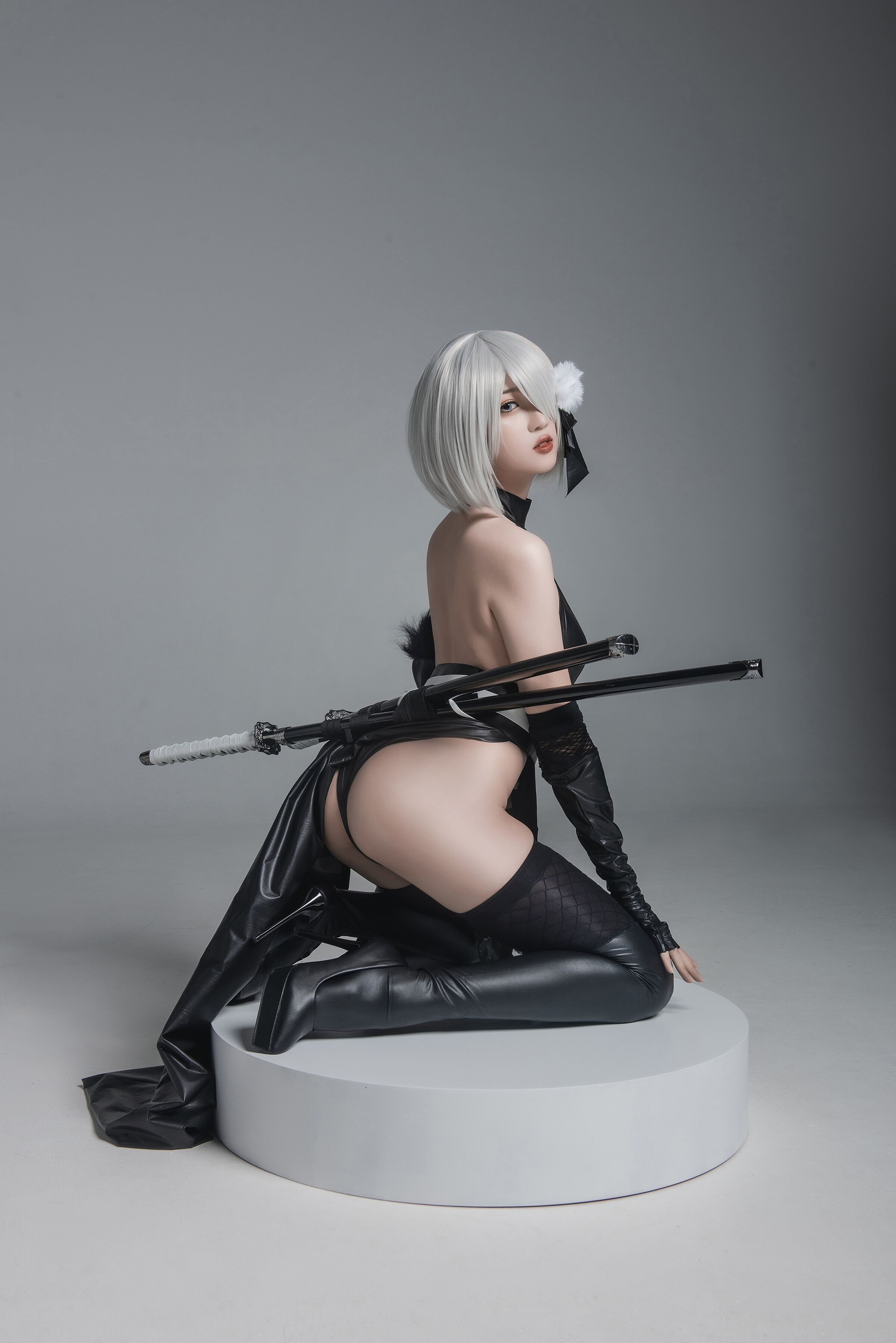 วาสตายาเซี่ยวลุงเซี๊ยะ - หมายเลข 2 B ประเภท นินจา