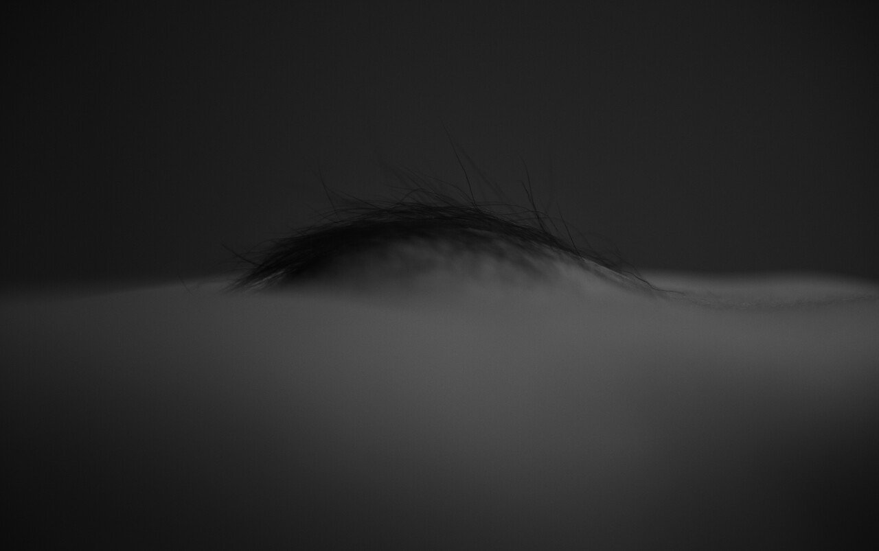 佩里.X攝影集