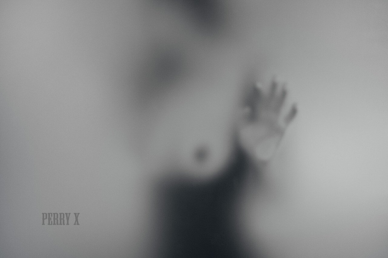 ペリーX写真集