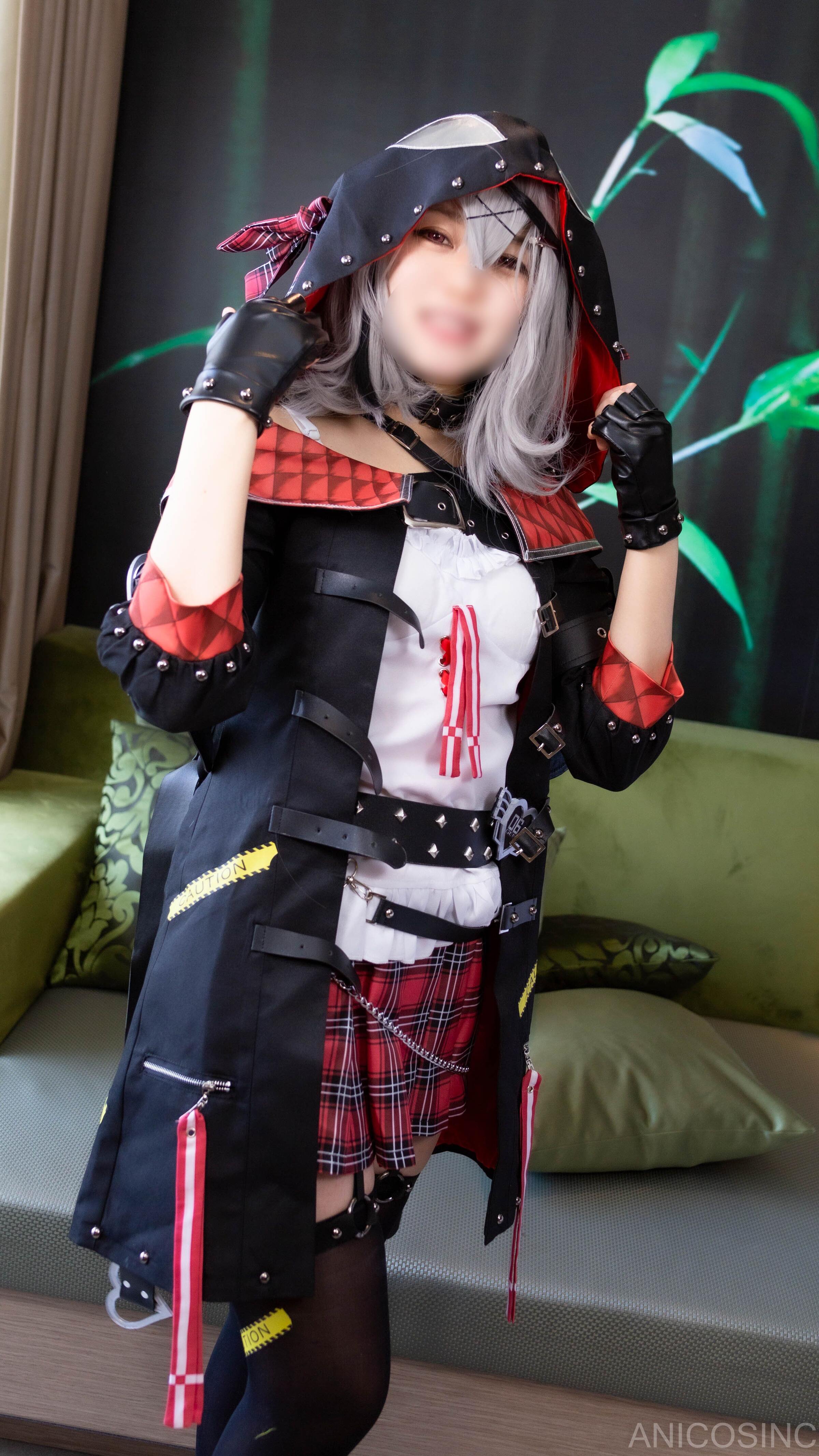 アニコスカンパニー ANICOSINC SKMT