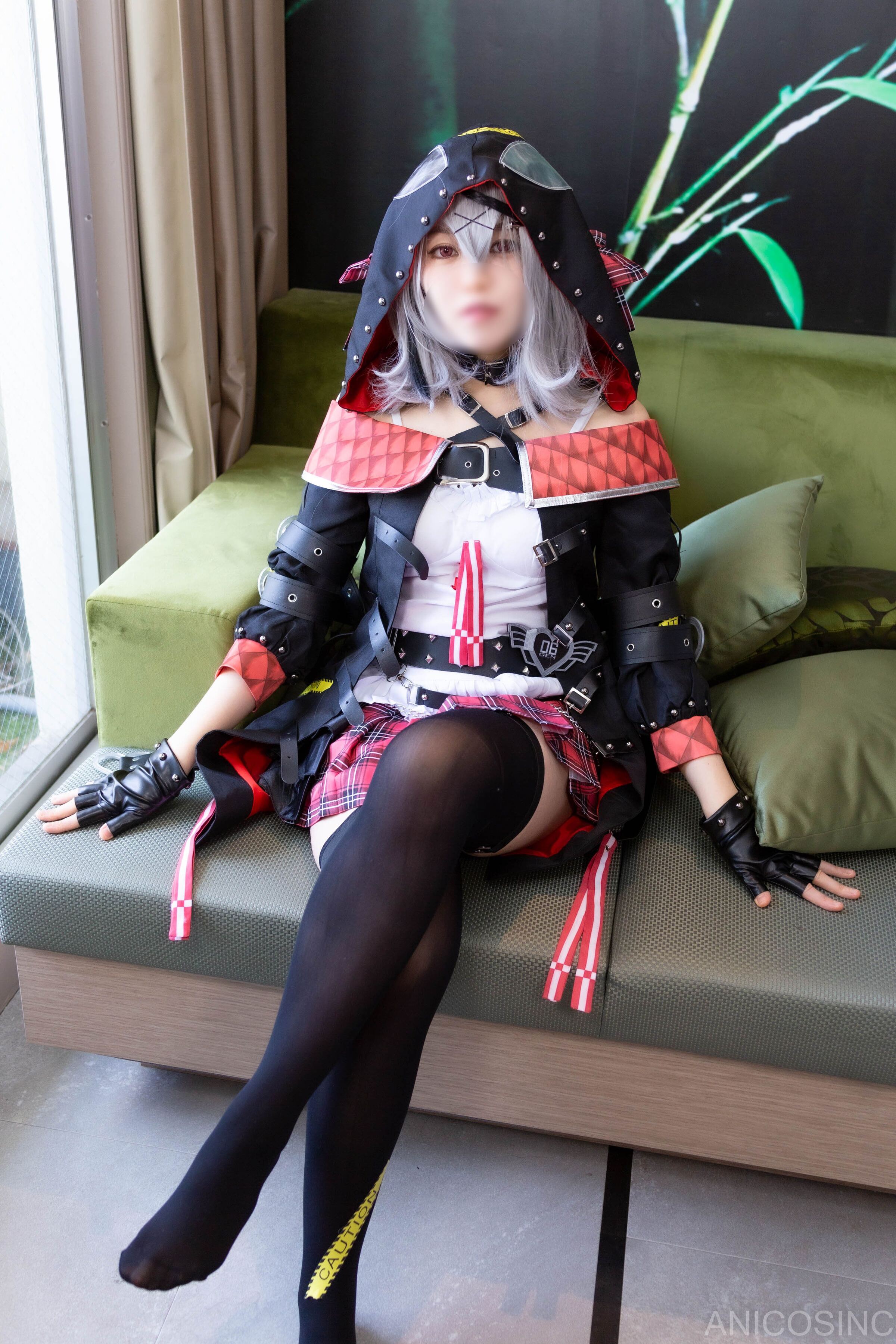 アニコスカンパニー ANICOSINC SKMT
