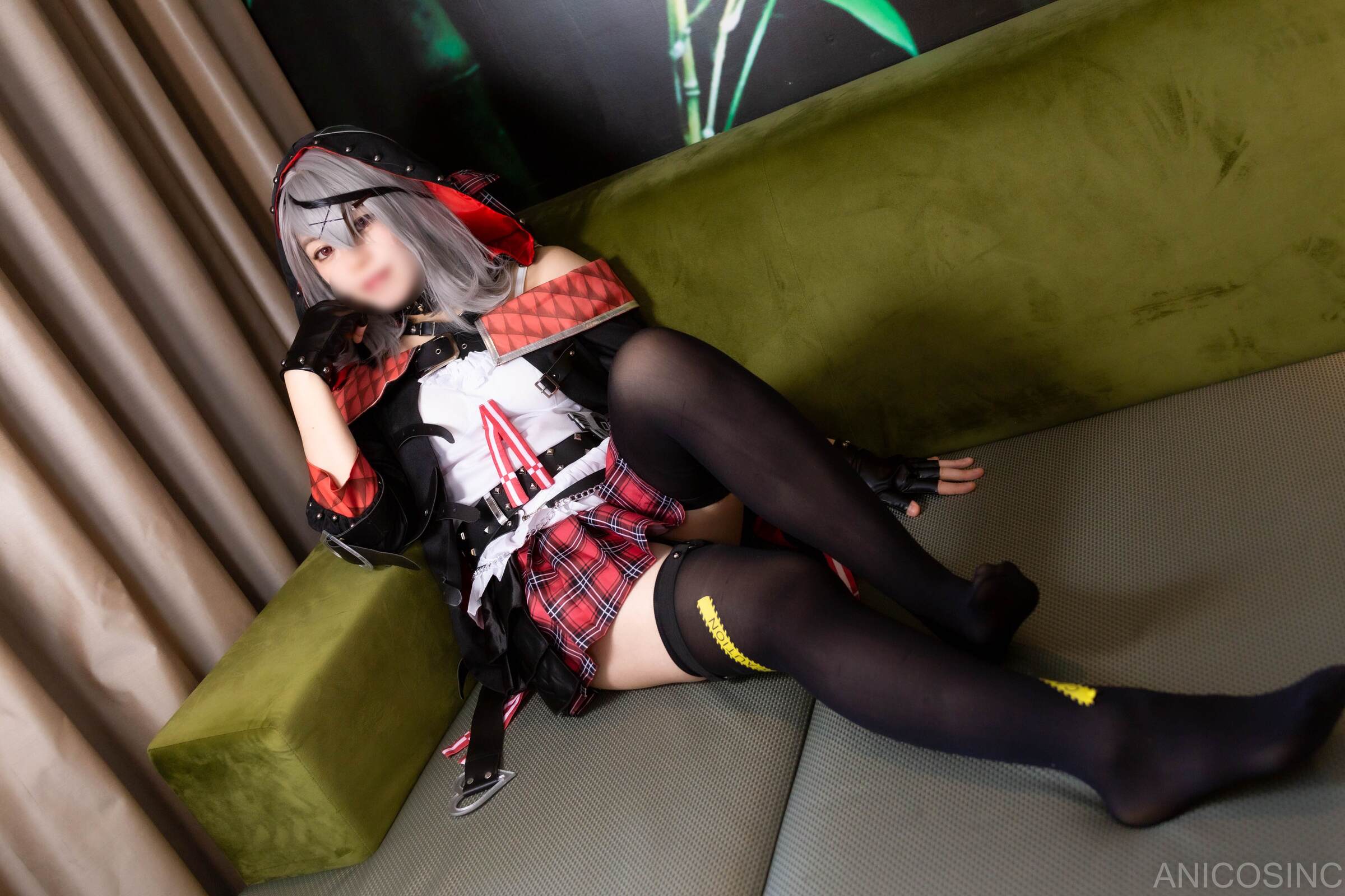 アニコスカンパニー ANICOSINC SKMT