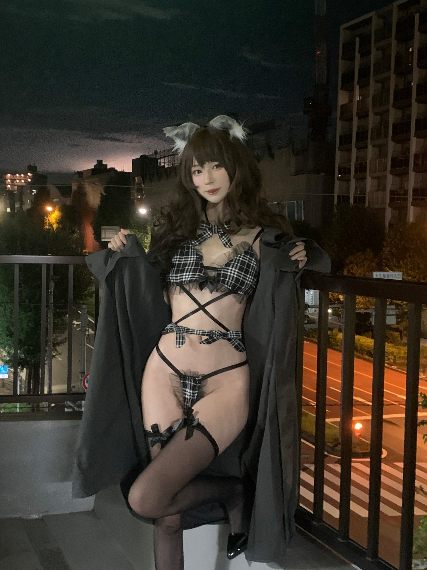 ซีหยวนซิหนานเก งานของเจ้าของ 2.0