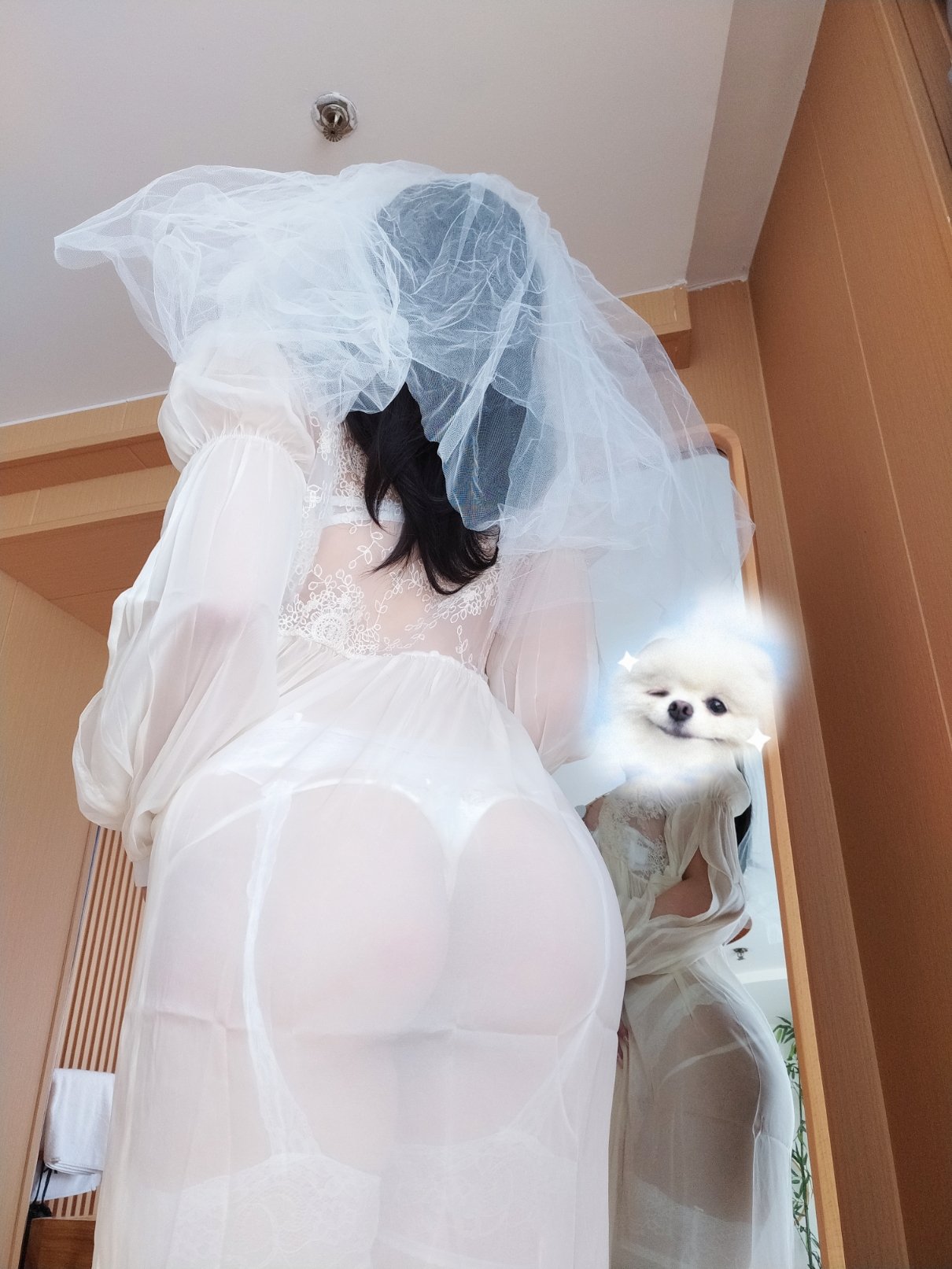 여주 K NO.014 백쌍자