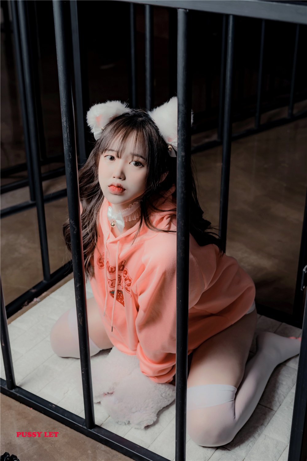 寵物少女