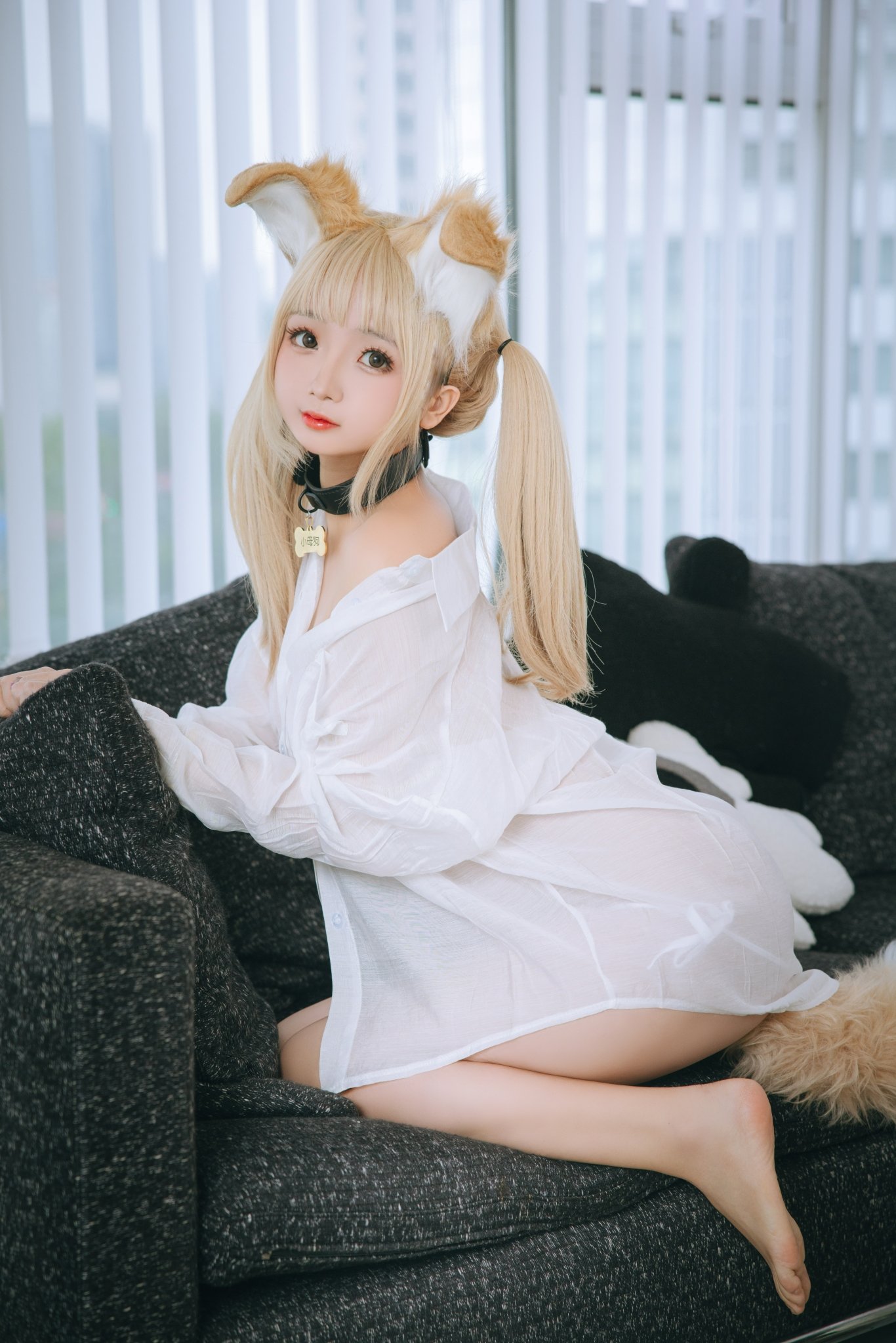 No.067 Nhật Nại Giao - Áo sơ mi Chó con