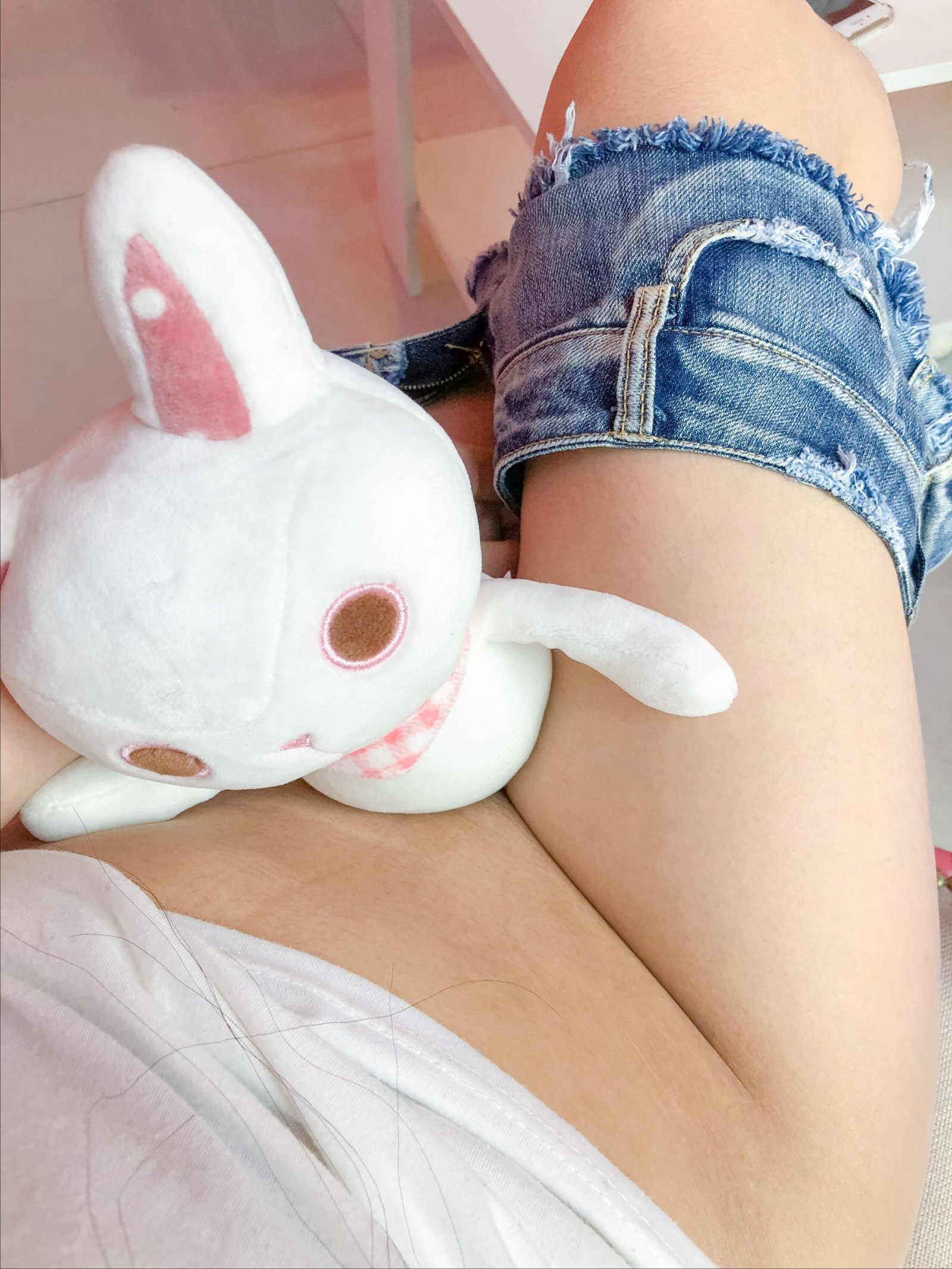 是你的猫仙啊《粉红少女》
