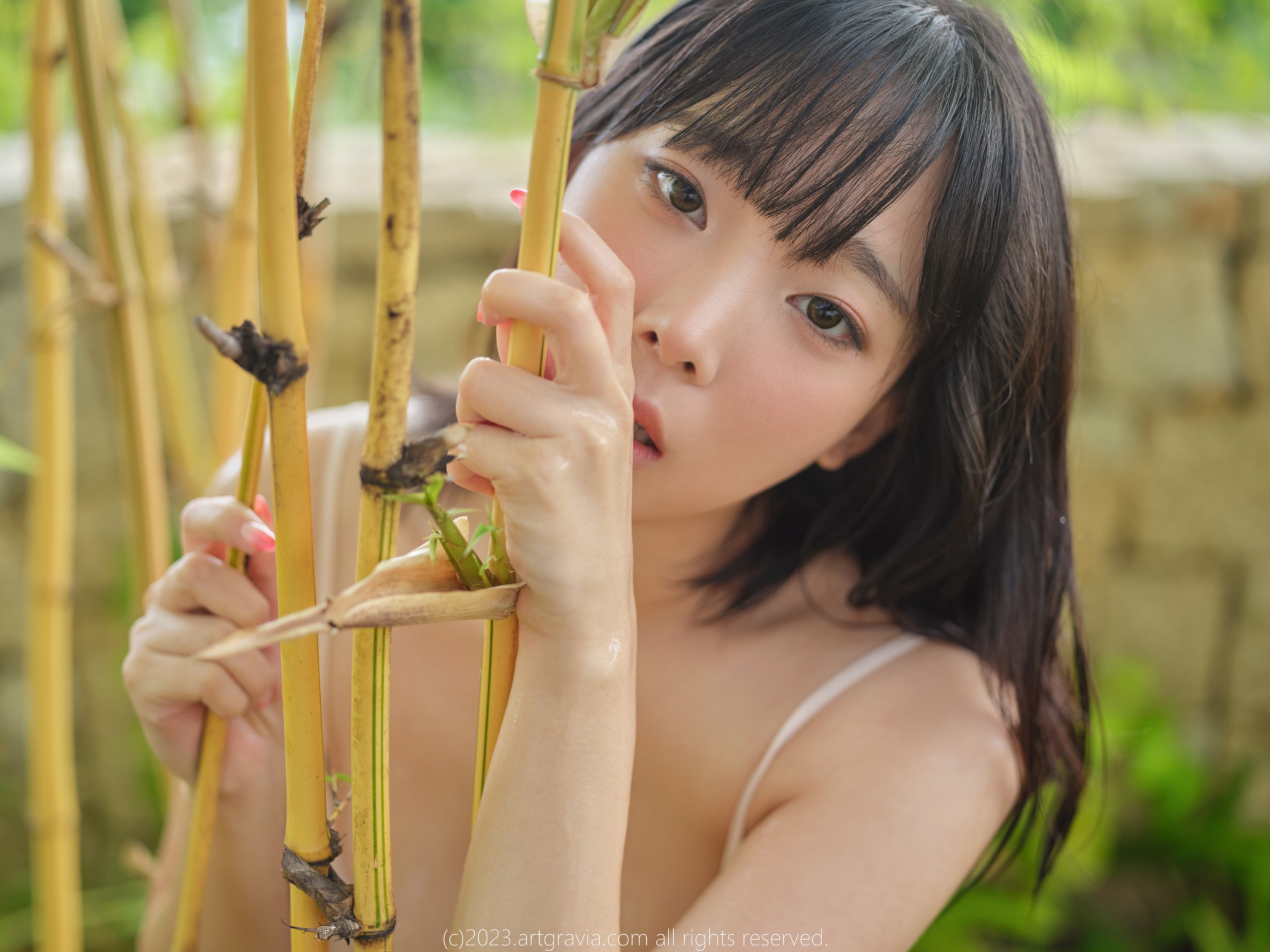 Artgravia Vol 492 Bộ Ảnh Người Lớn