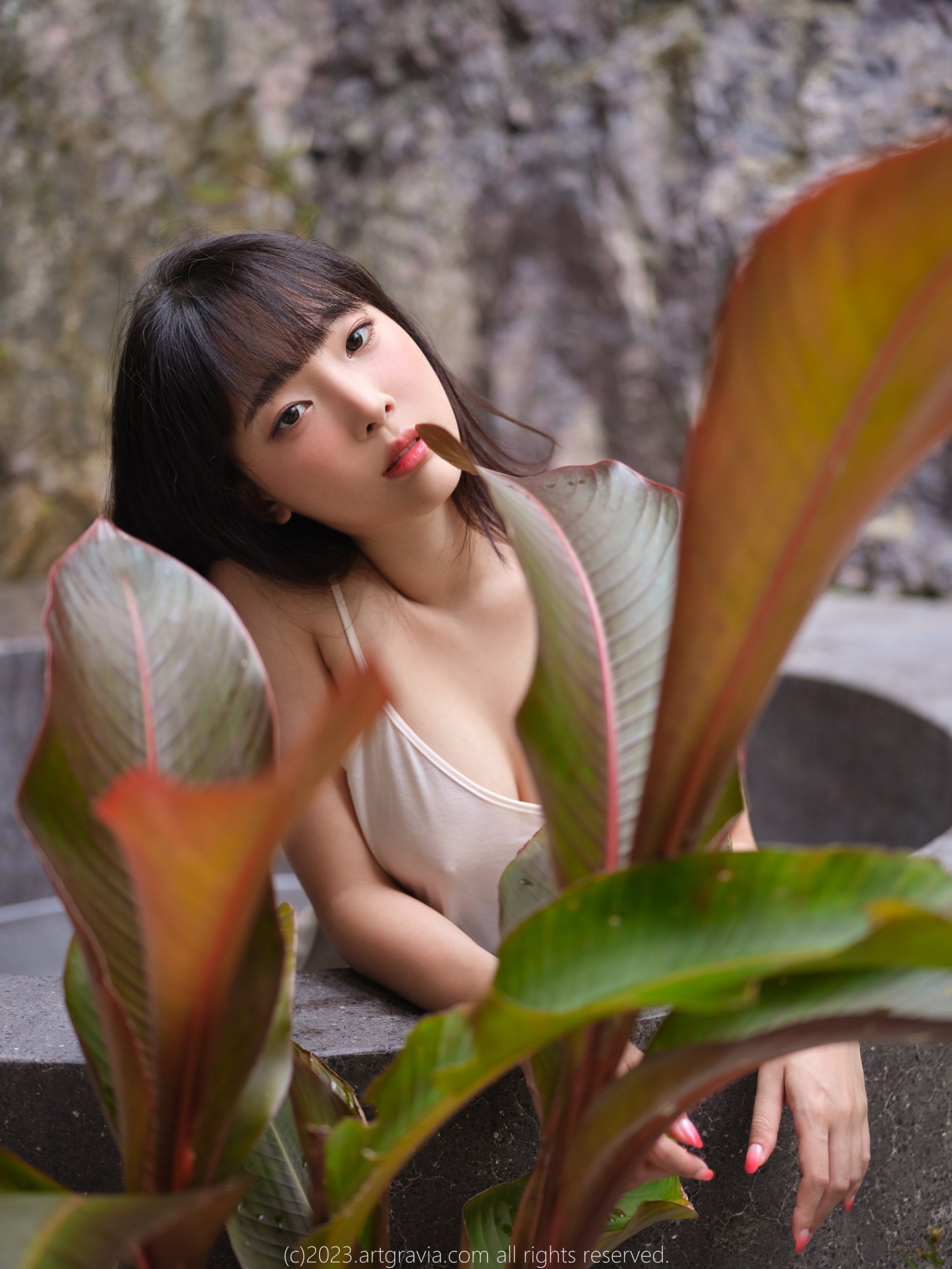 Artgravia Vol 492 Bộ Ảnh Người Lớn