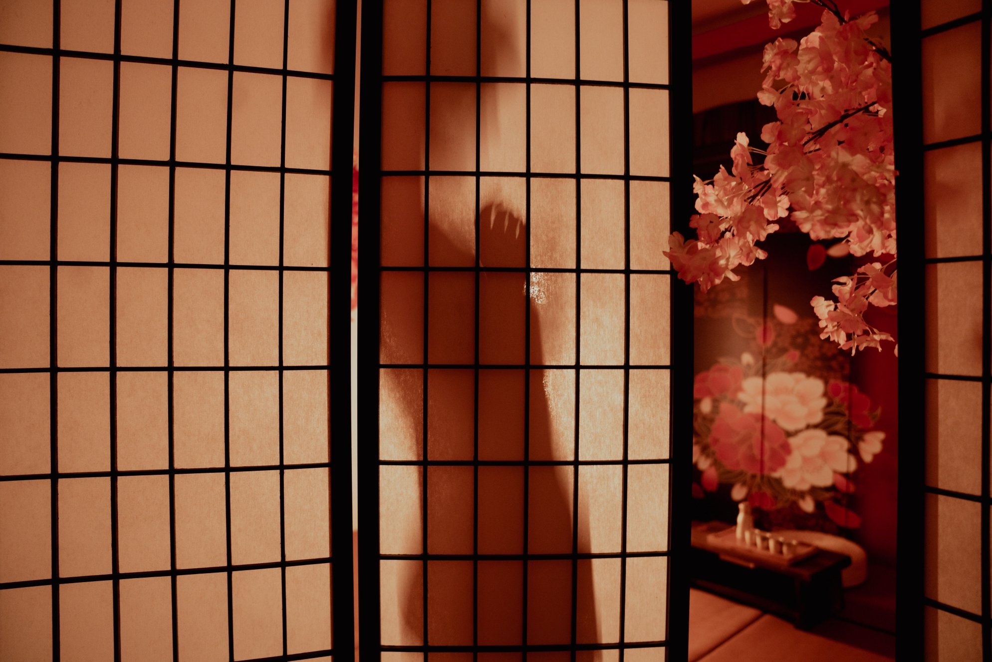 晕崽Zz NO.14 小桜花