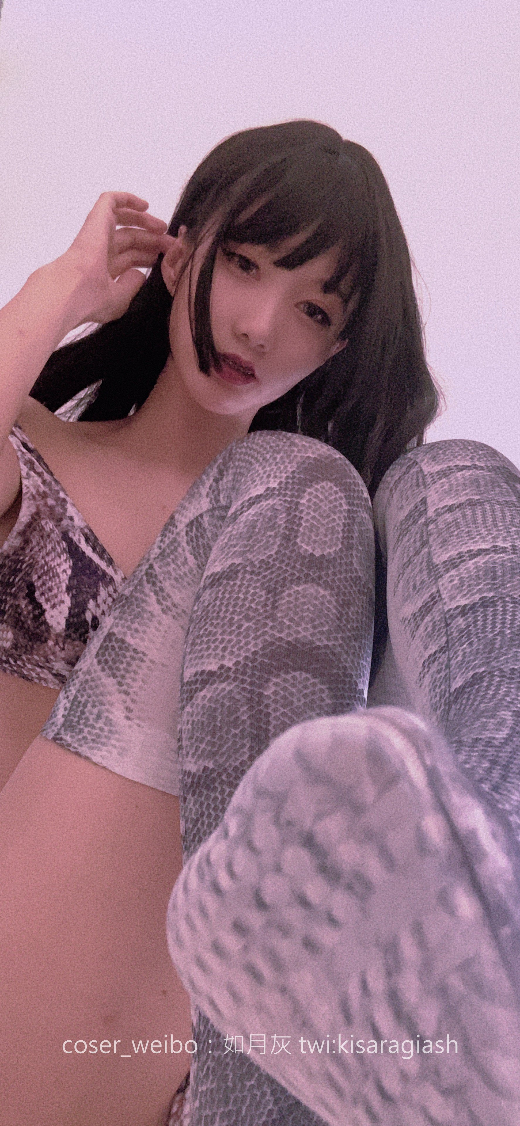 如月灰-蛇