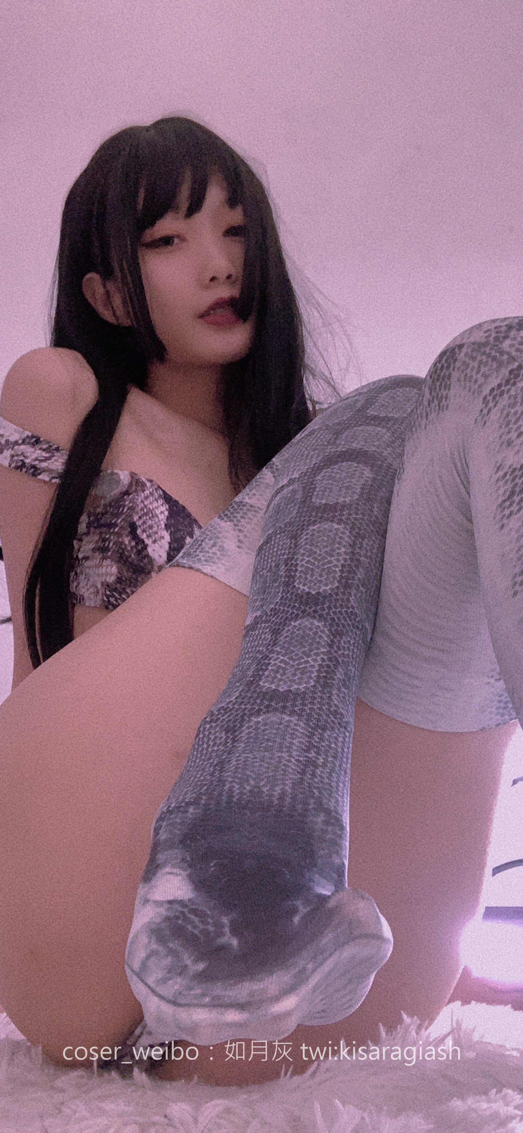 如月灰-蛇