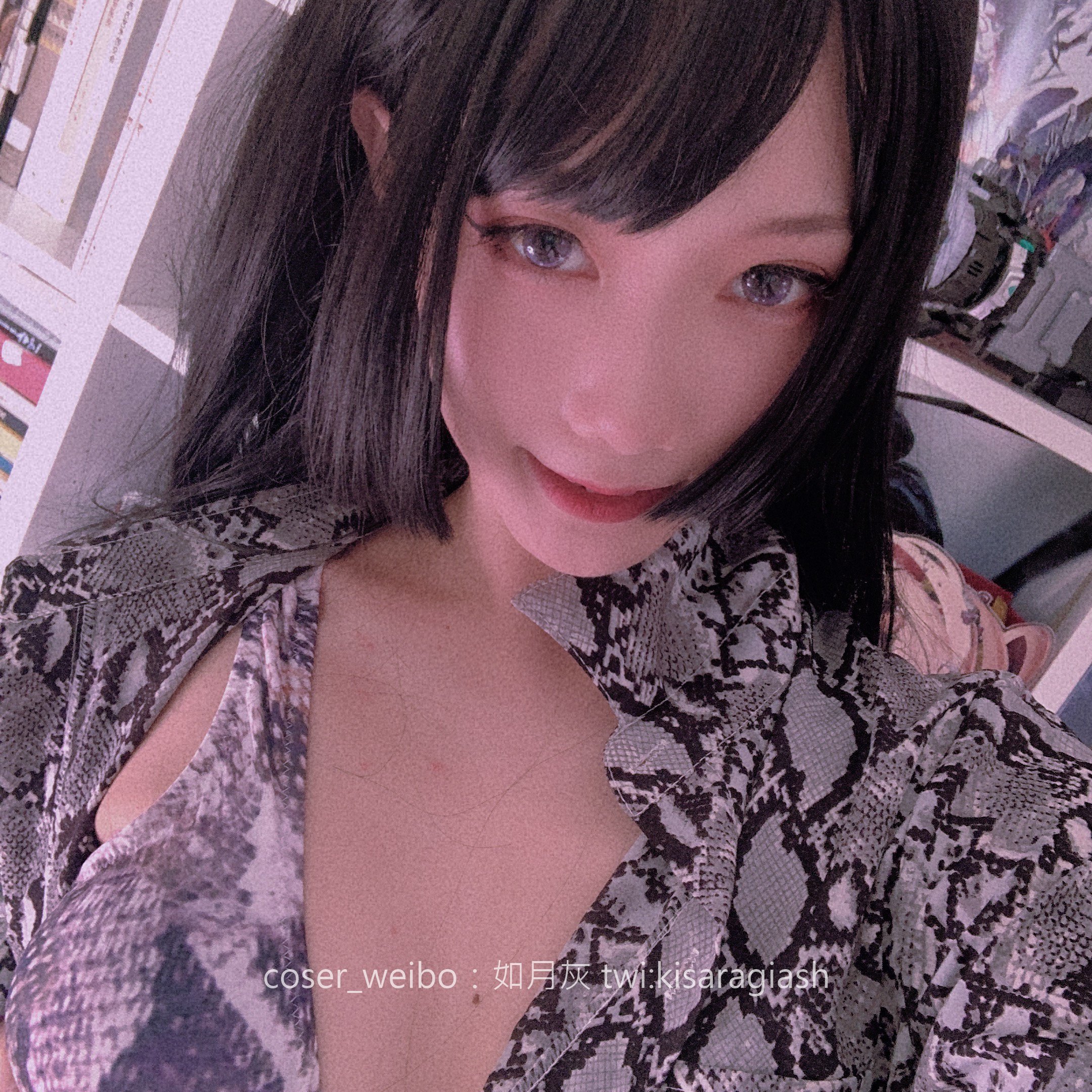 Ruyue Hui-Snake