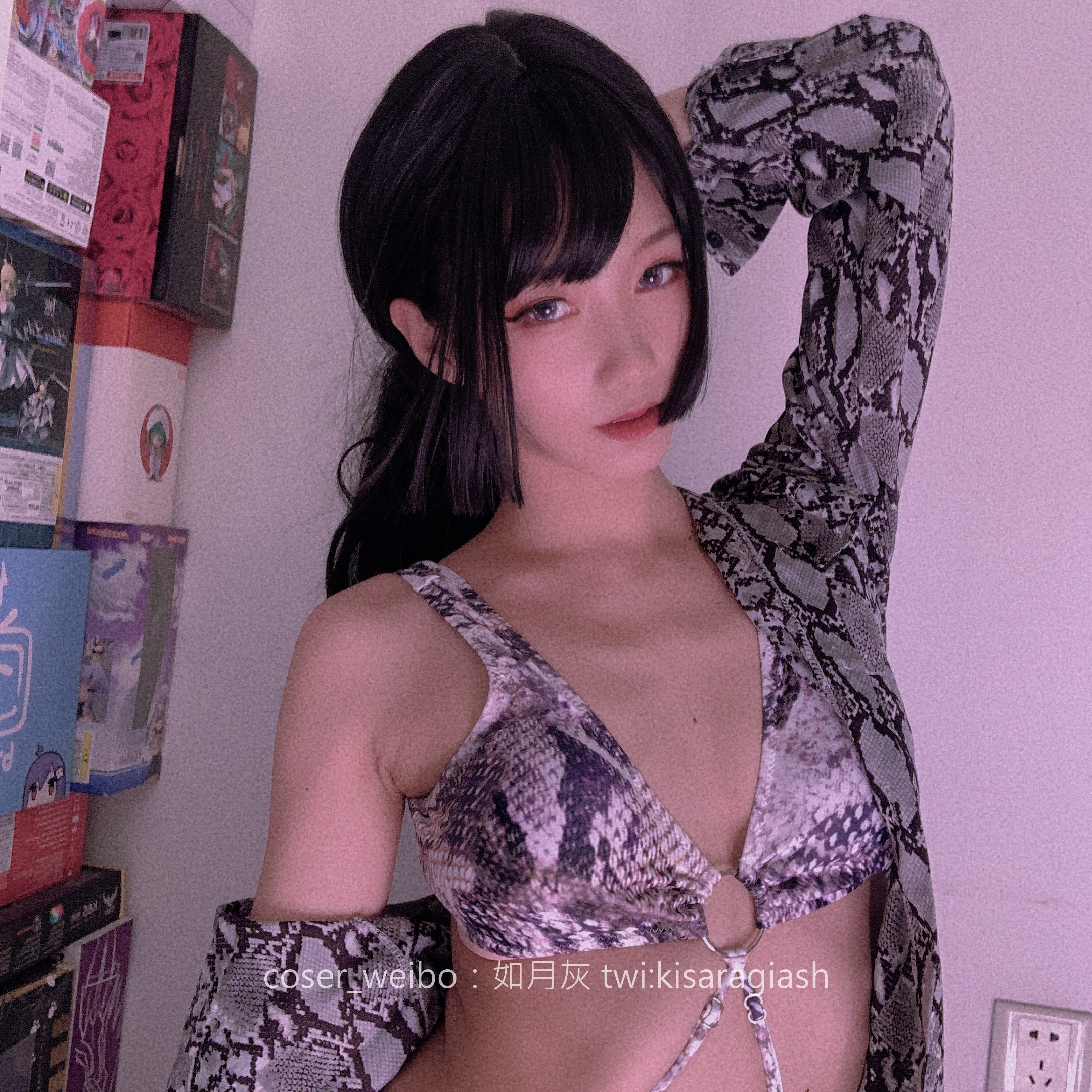 Ruyue Hui-Snake