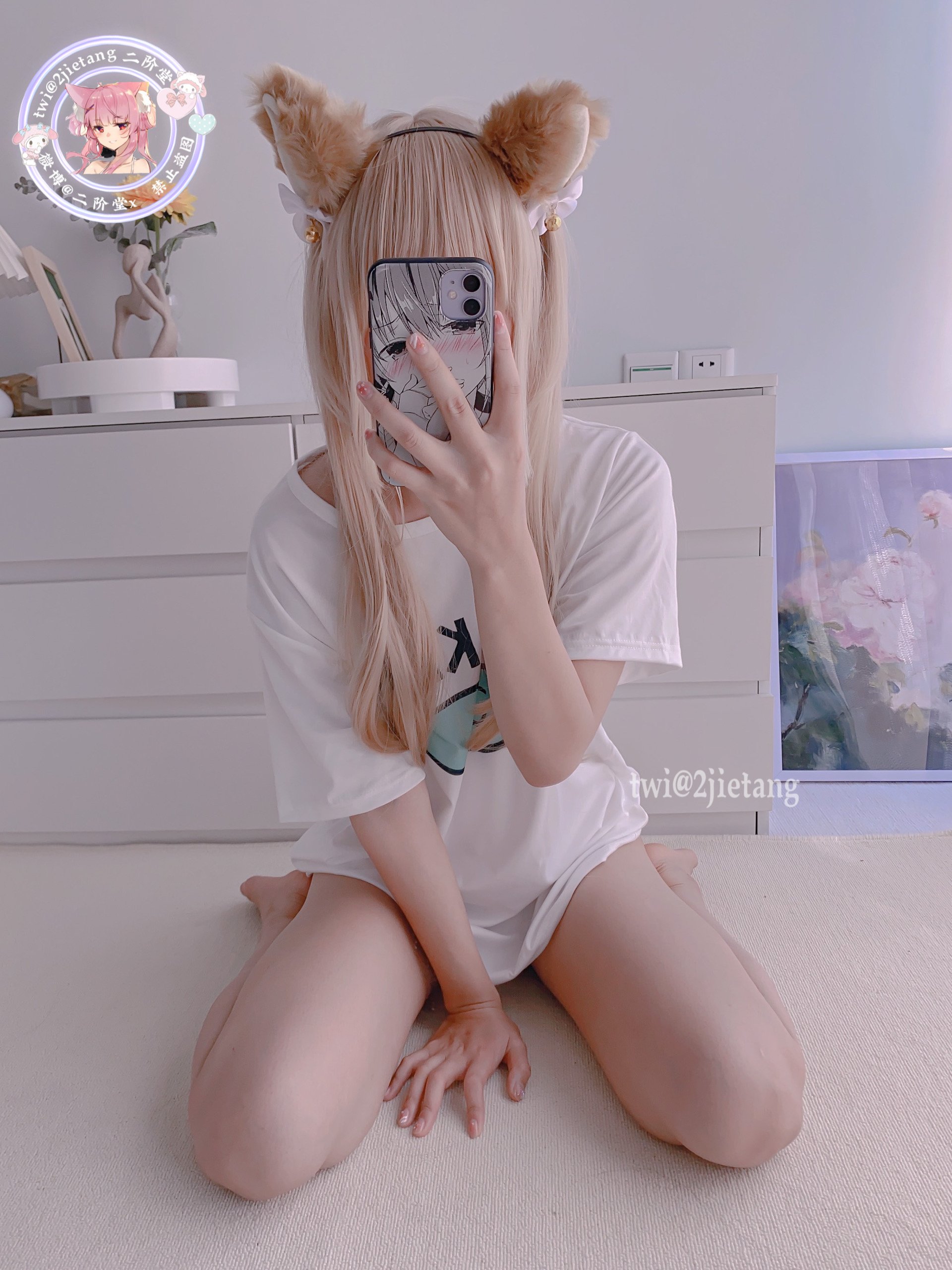 นิไกโด - ในต่างโลกเป็นสาวแมว