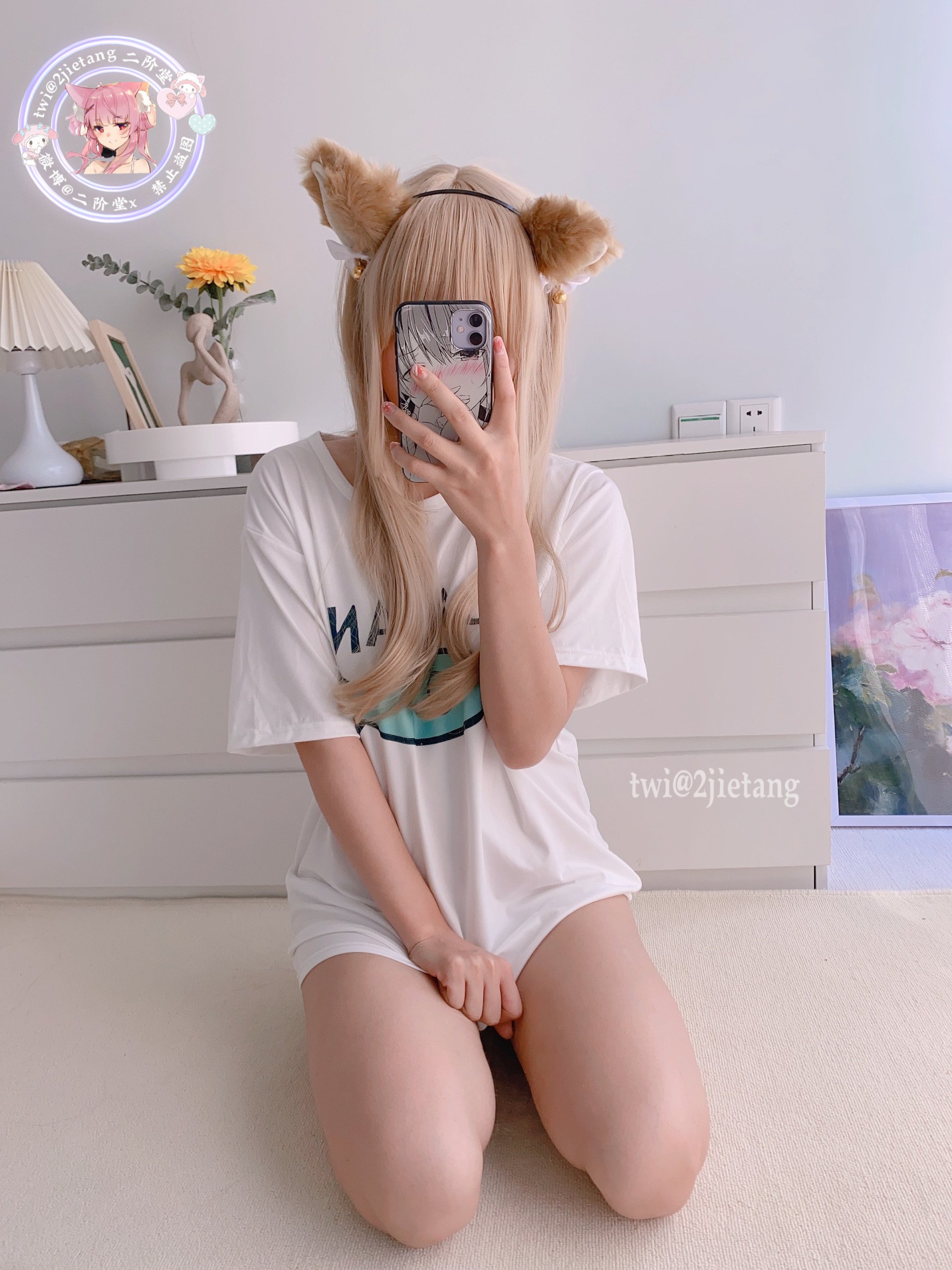 นิไกโด - ในต่างโลกเป็นสาวแมว