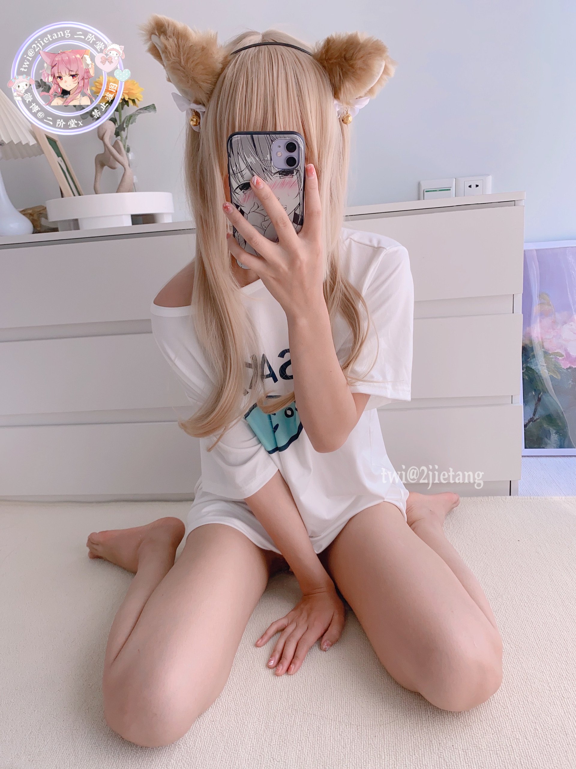 นิไกโด - ในต่างโลกเป็นสาวแมว