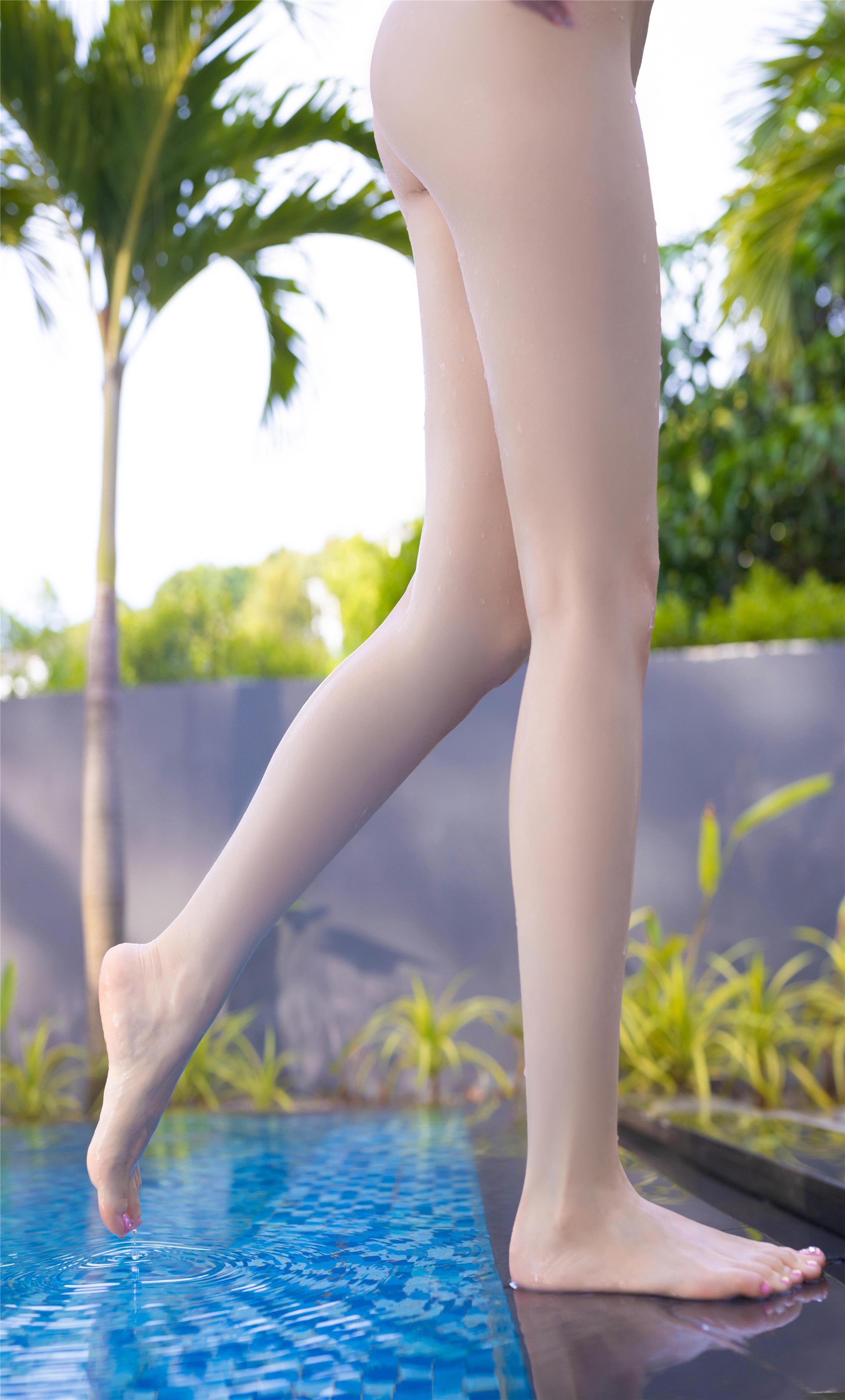 ยู๋จื่อเจียงฟิช - ชานชิงเซ 105P