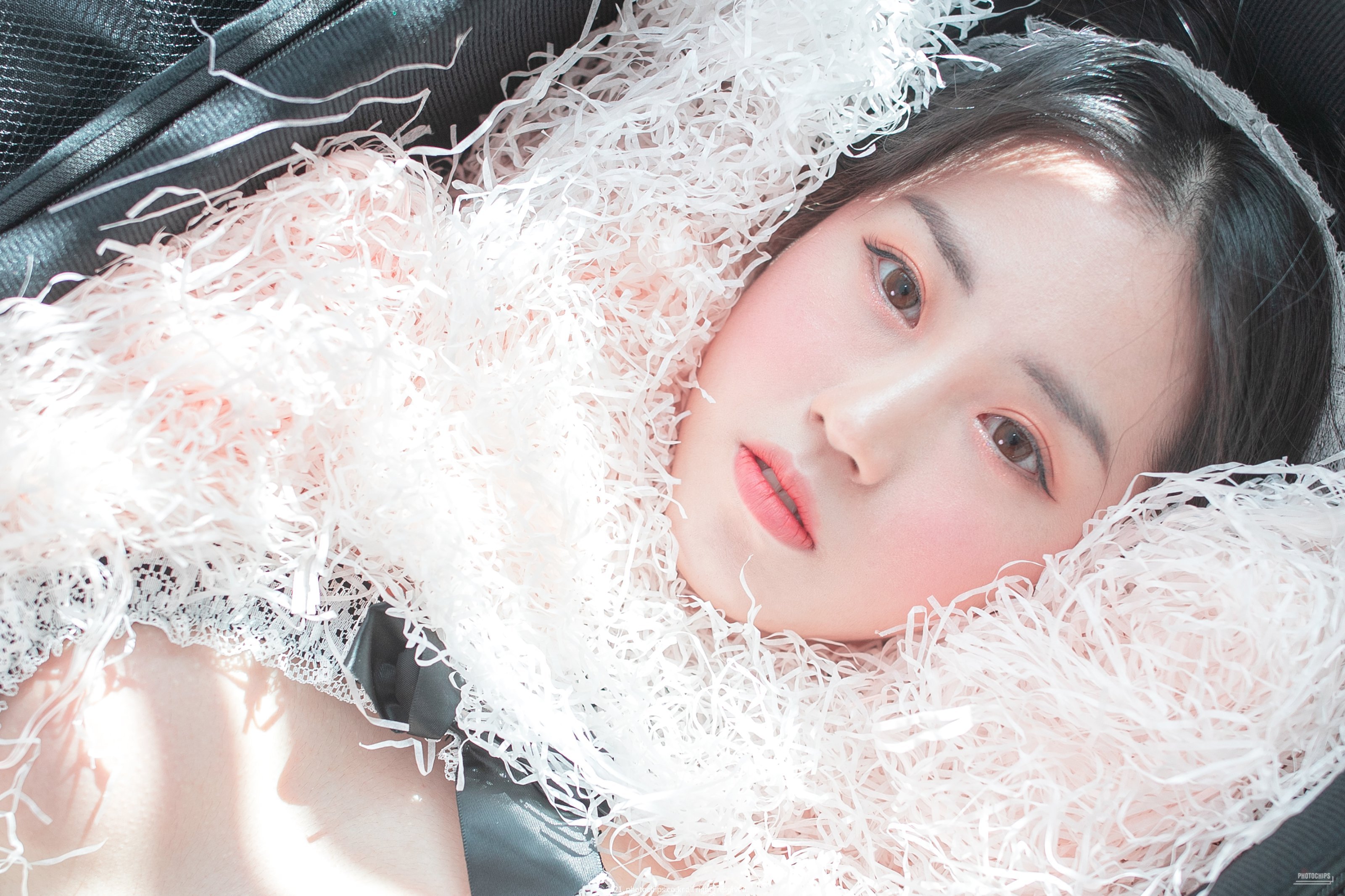 포토칩스 Vol.109 No.13 Dami (퀸다미)