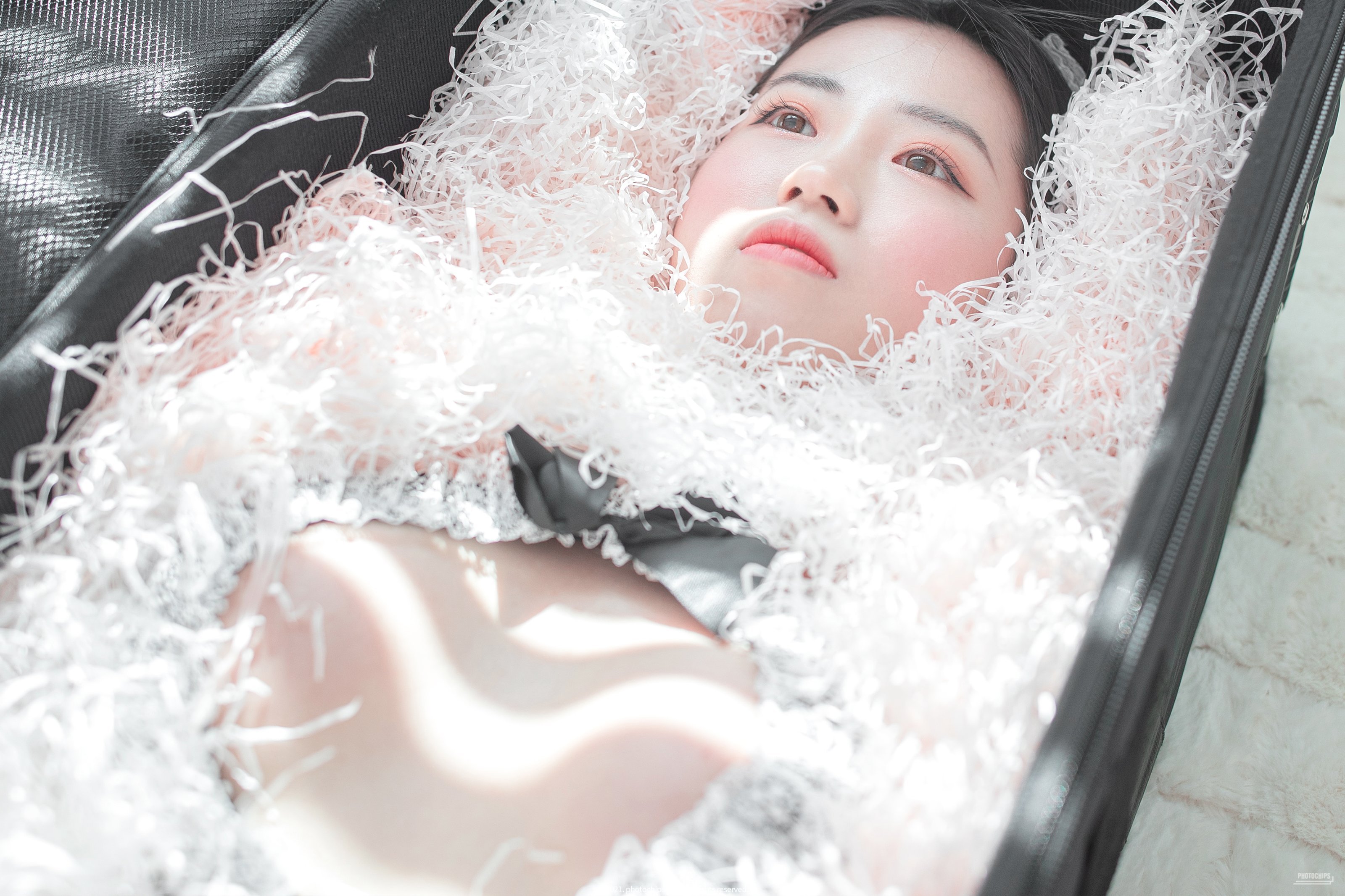 PhotoChips Vol.109 No.13 達米 (昆達米)