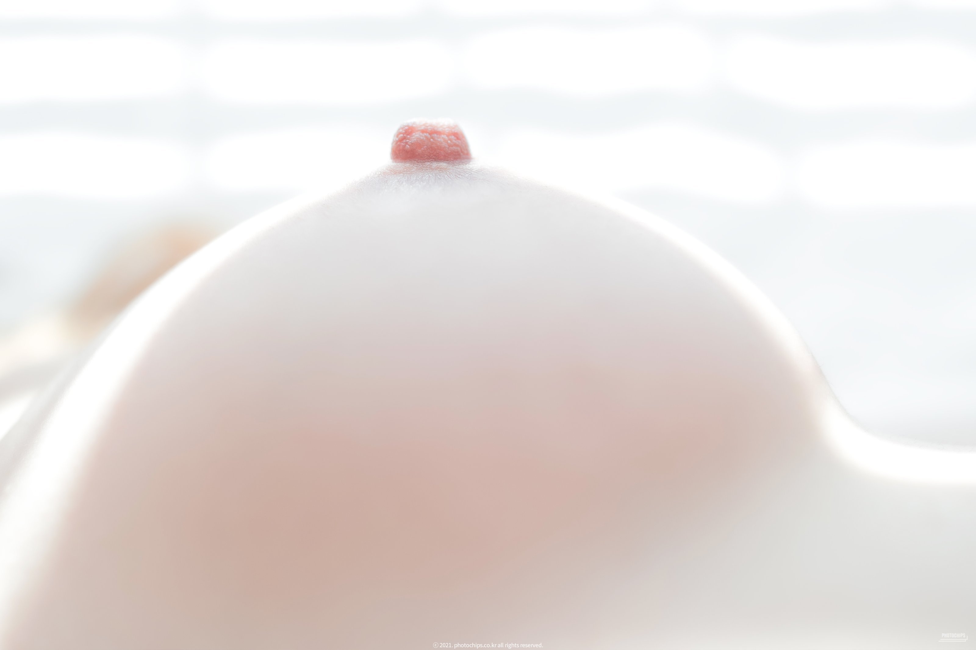 PhotoChips Vol.109 No.13 達米 (昆達米)