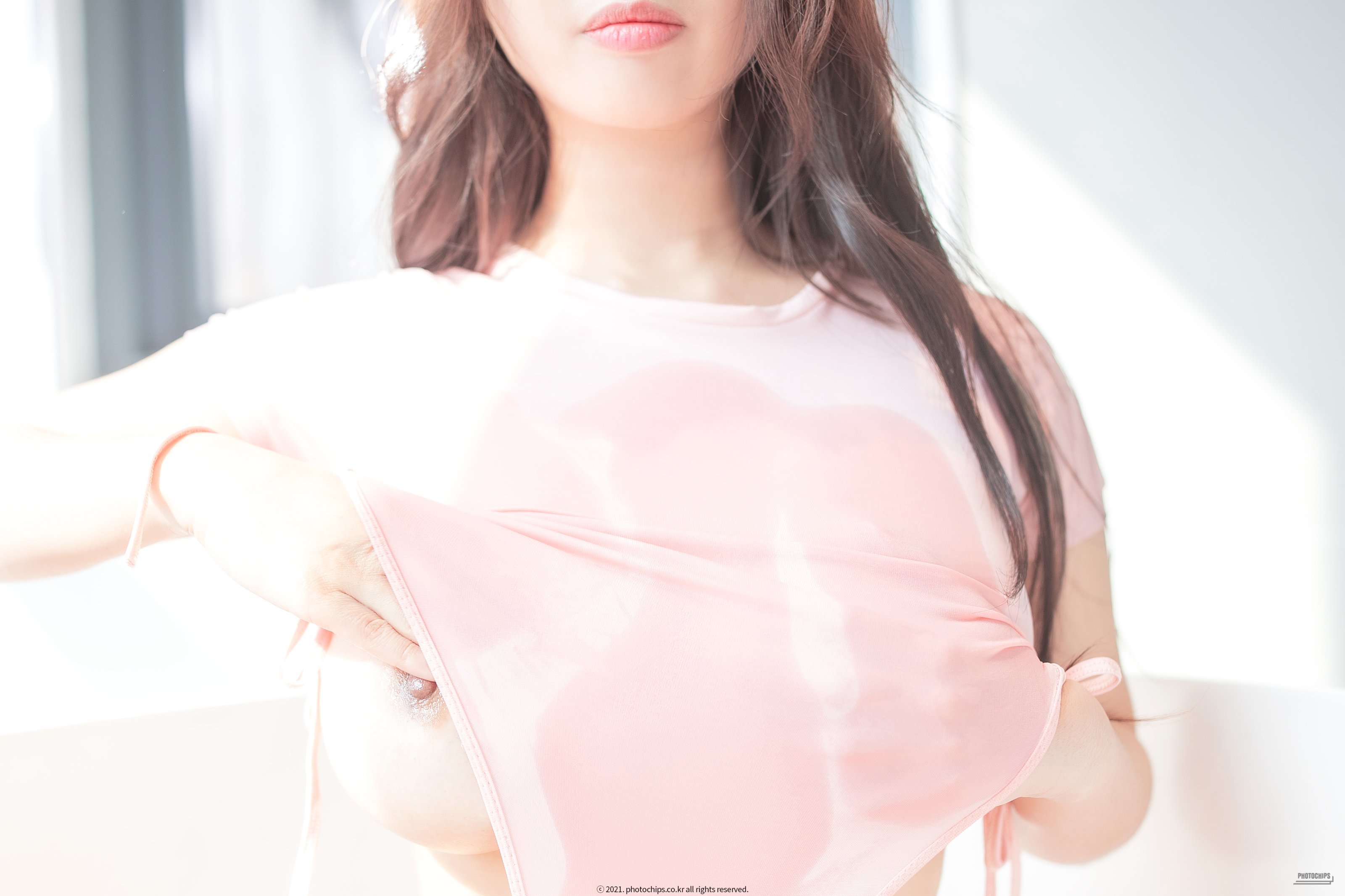 PhotoChips Vol.99 - No.19 Bokbunjajoo (복분자주)