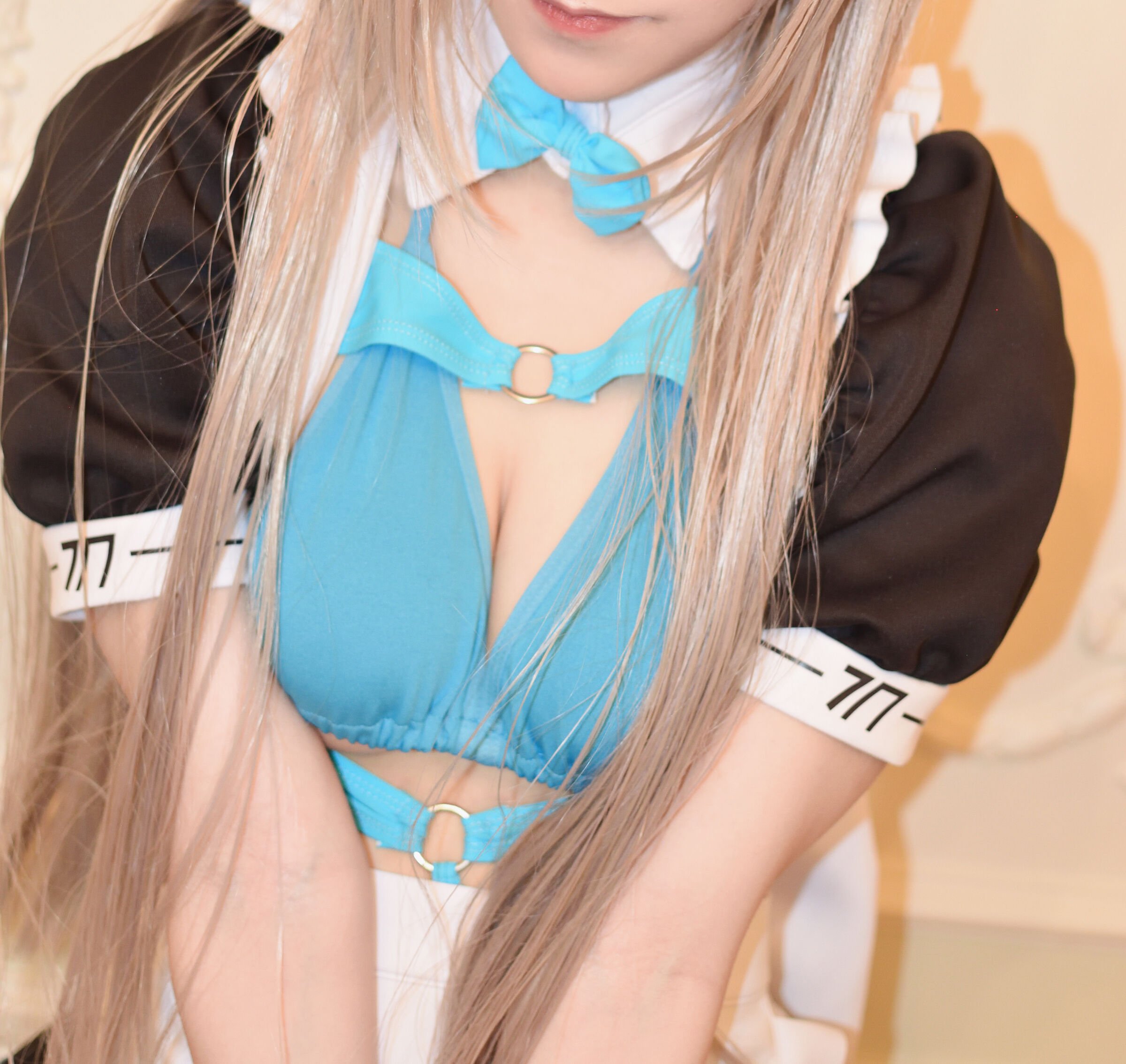 Akichi - Cat Maid Asuna