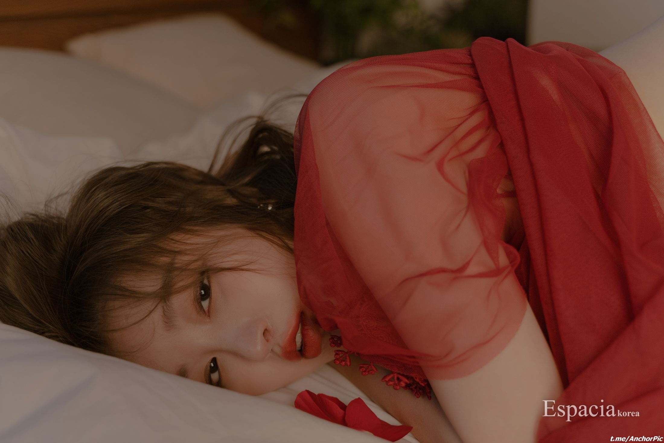 [Espacia Korea] EHC 066 SNOW 50P