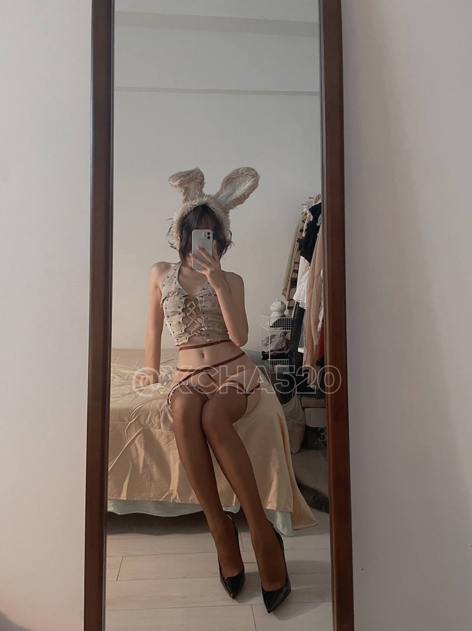 Chacha - Gray Little Rabbit