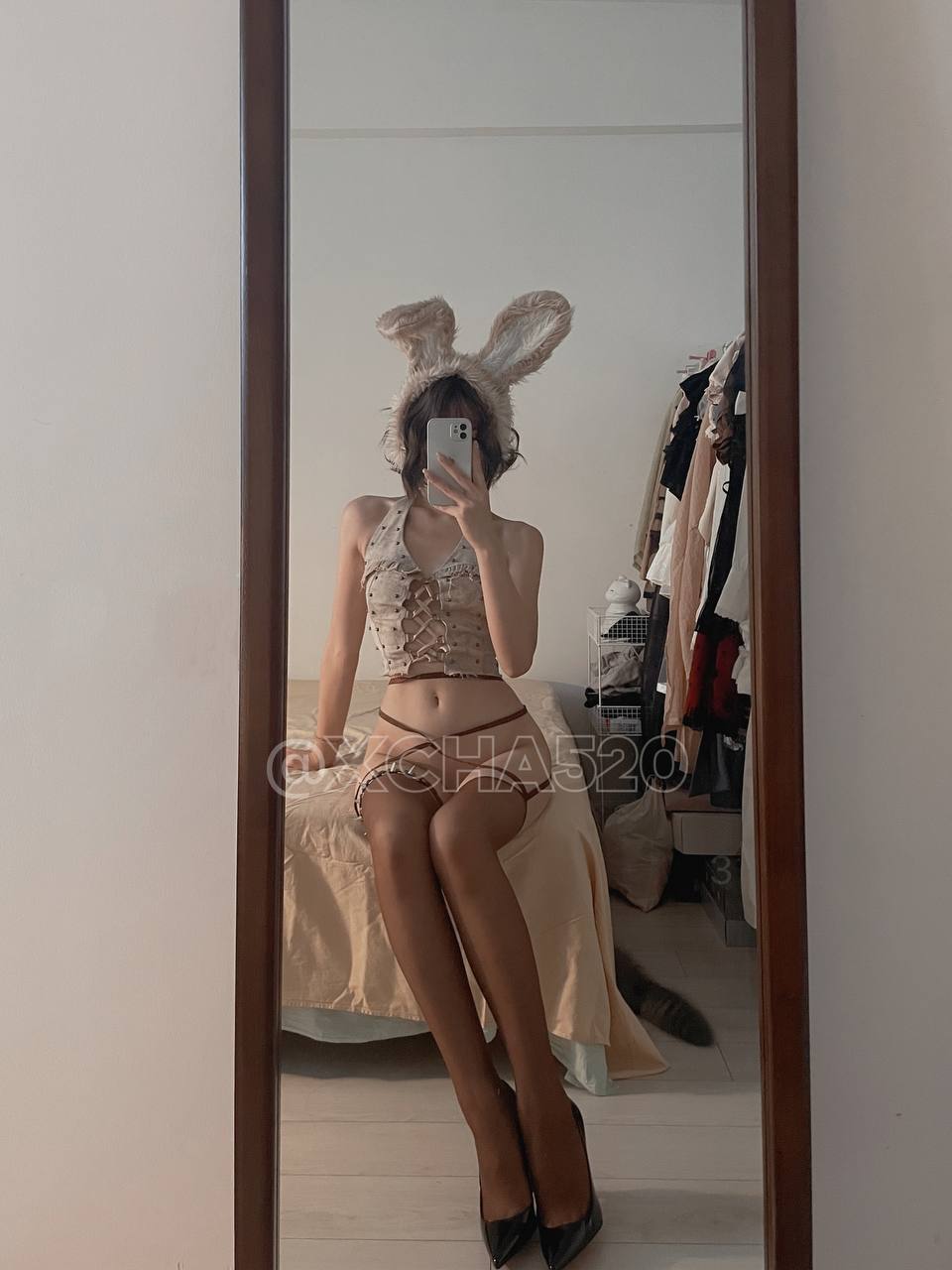 Chacha - Gray Little Rabbit