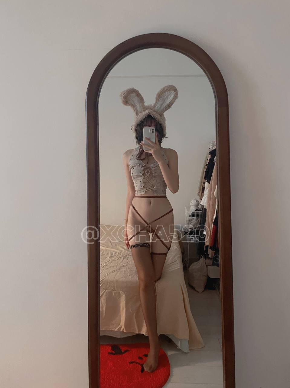 Chacha - Gray Little Rabbit