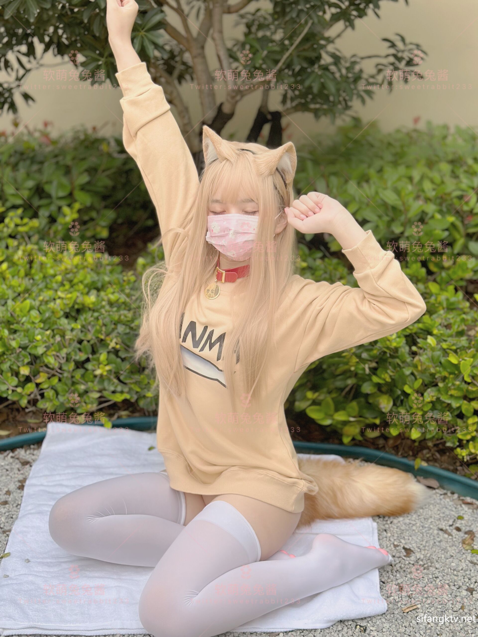软เมิ่งตุตุเจียง - คนรักแมว กับ GIF