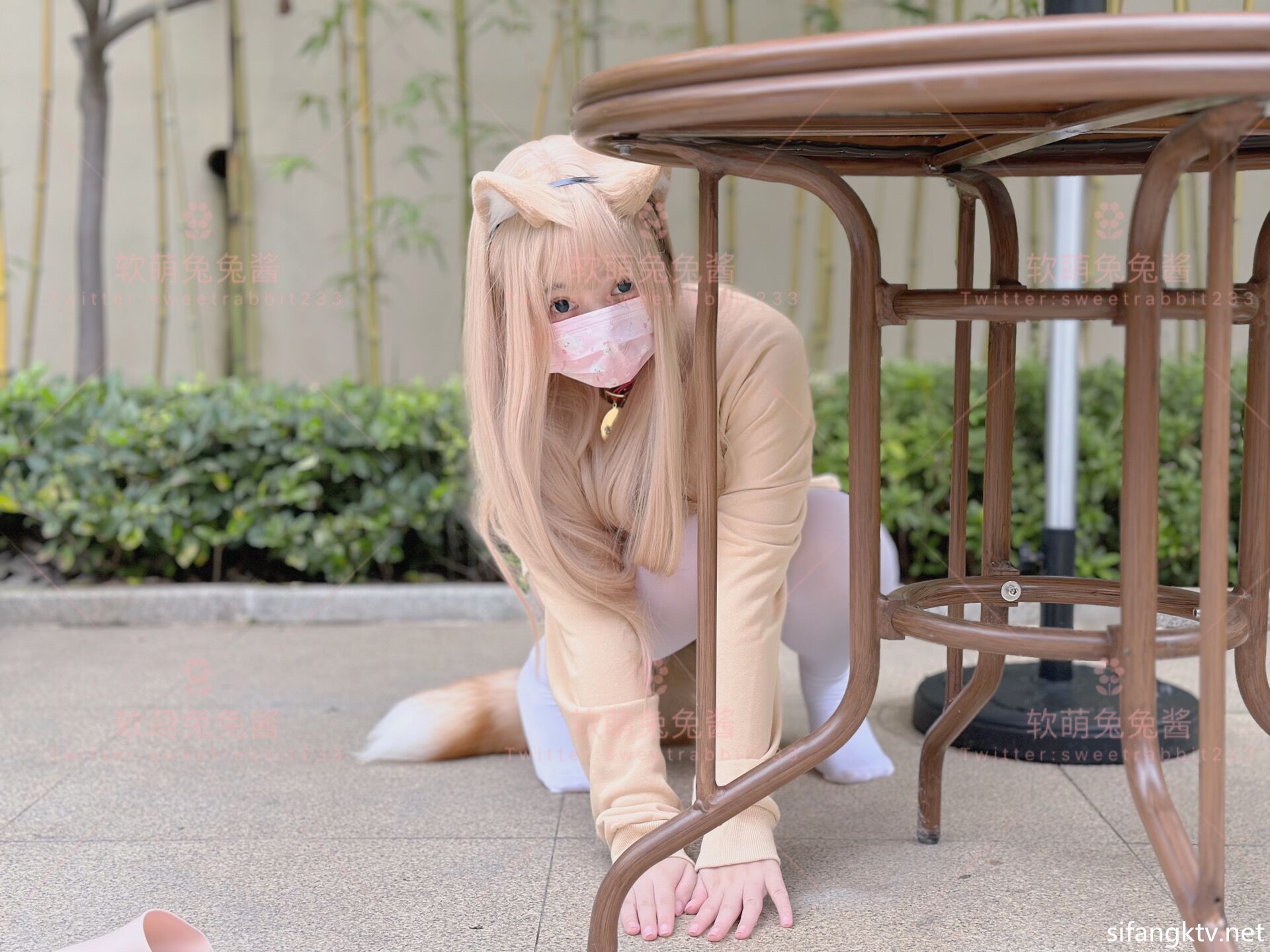 软เมิ่งตุตุเจียง - คนรักแมว กับ GIF