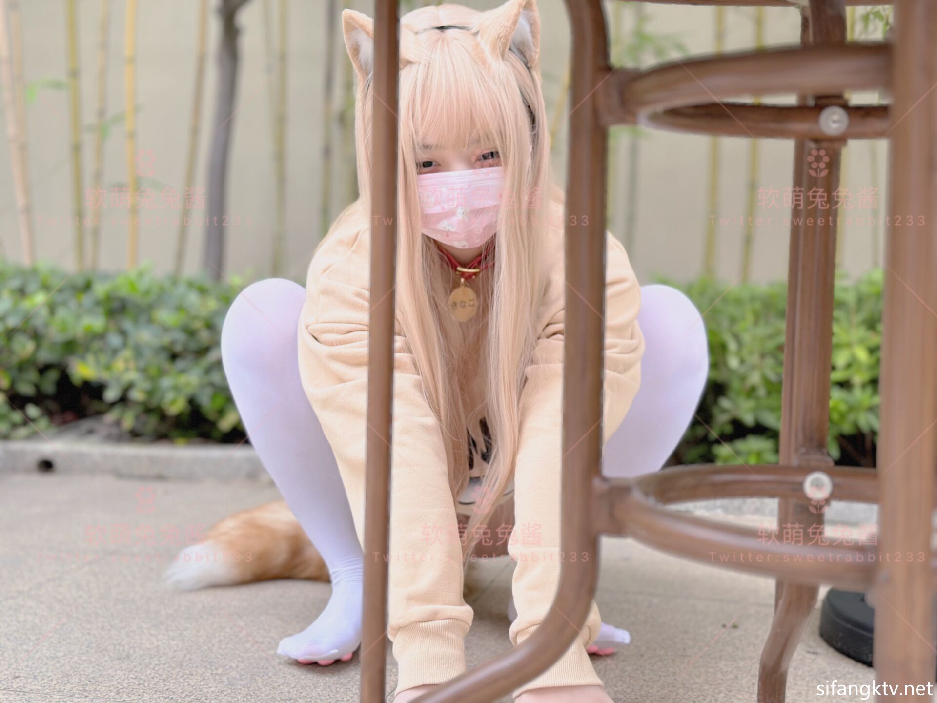 软เมิ่งตุตุเจียง - คนรักแมว กับ GIF