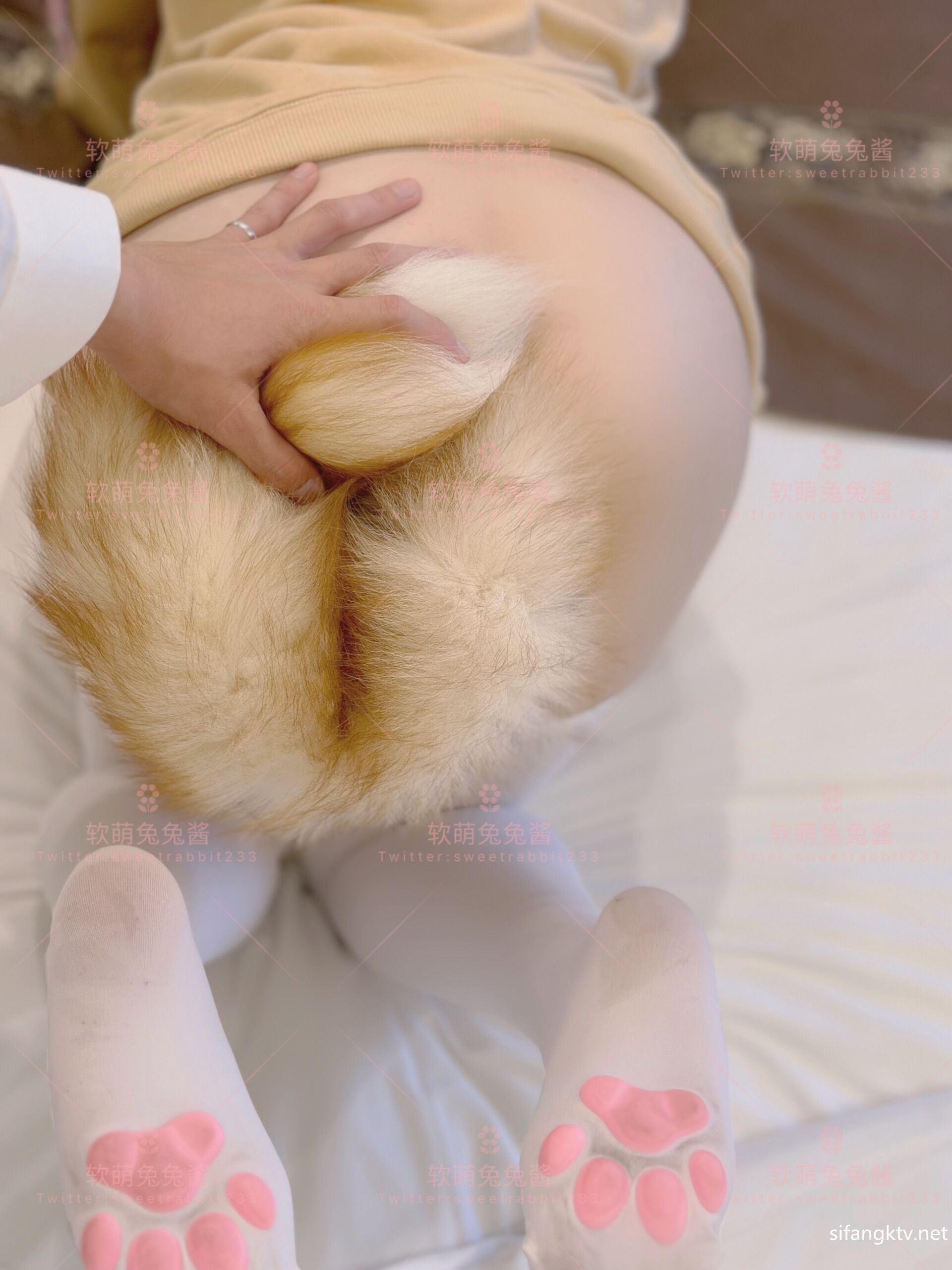 软เมิ่งตุตุเจียง - คนรักแมว กับ GIF