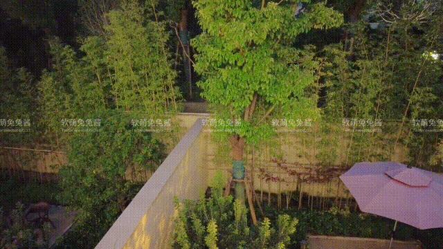软เมิ่งตุตุเจียง - คนรักแมว กับ GIF