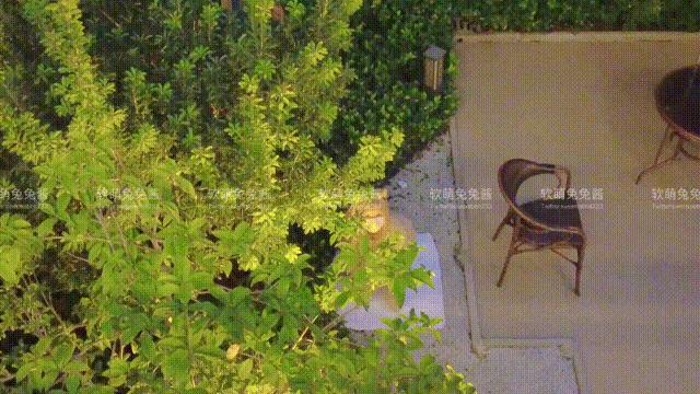 软เมิ่งตุตุเจียง - คนรักแมว กับ GIF