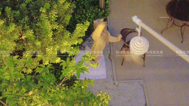 软萌兔兔酱爱猫人士 Cosplay | GIF 写真图集