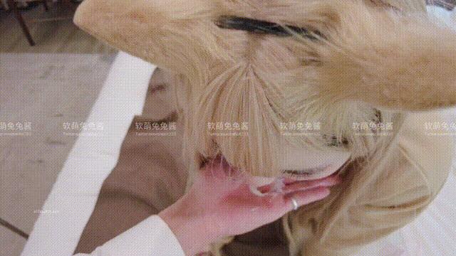 软萌兔兔酱爱猫人士 Cosplay | GIF 写真图集