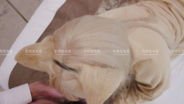 软萌兔兔酱爱猫人士 Cosplay | GIF 写真图集