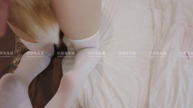Soft Cute Bunny Chan Cat Lover GIF Photo Set