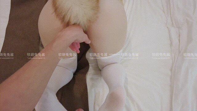 Soft Cute Bunny Chan Cat Lover GIF Photo Set