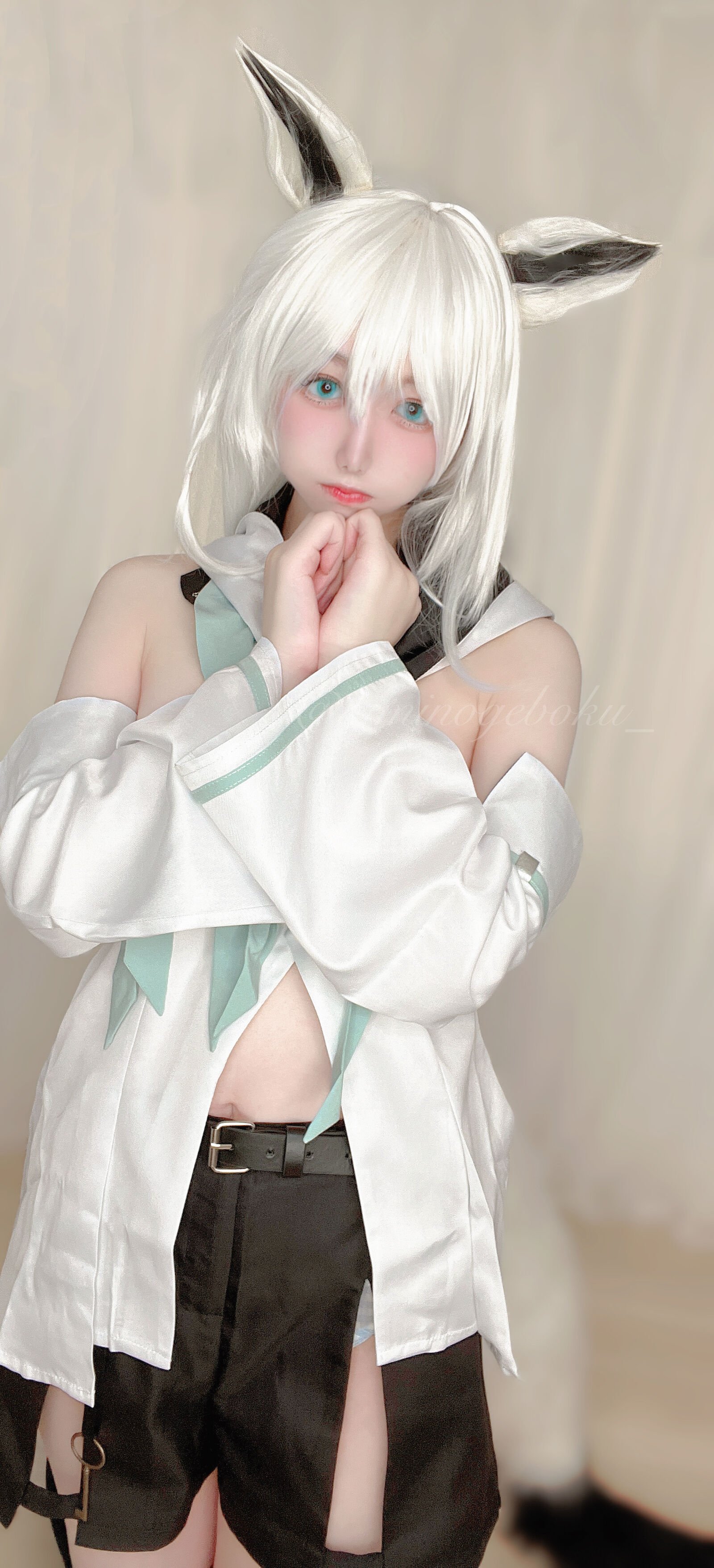 Wanco - Fubuki