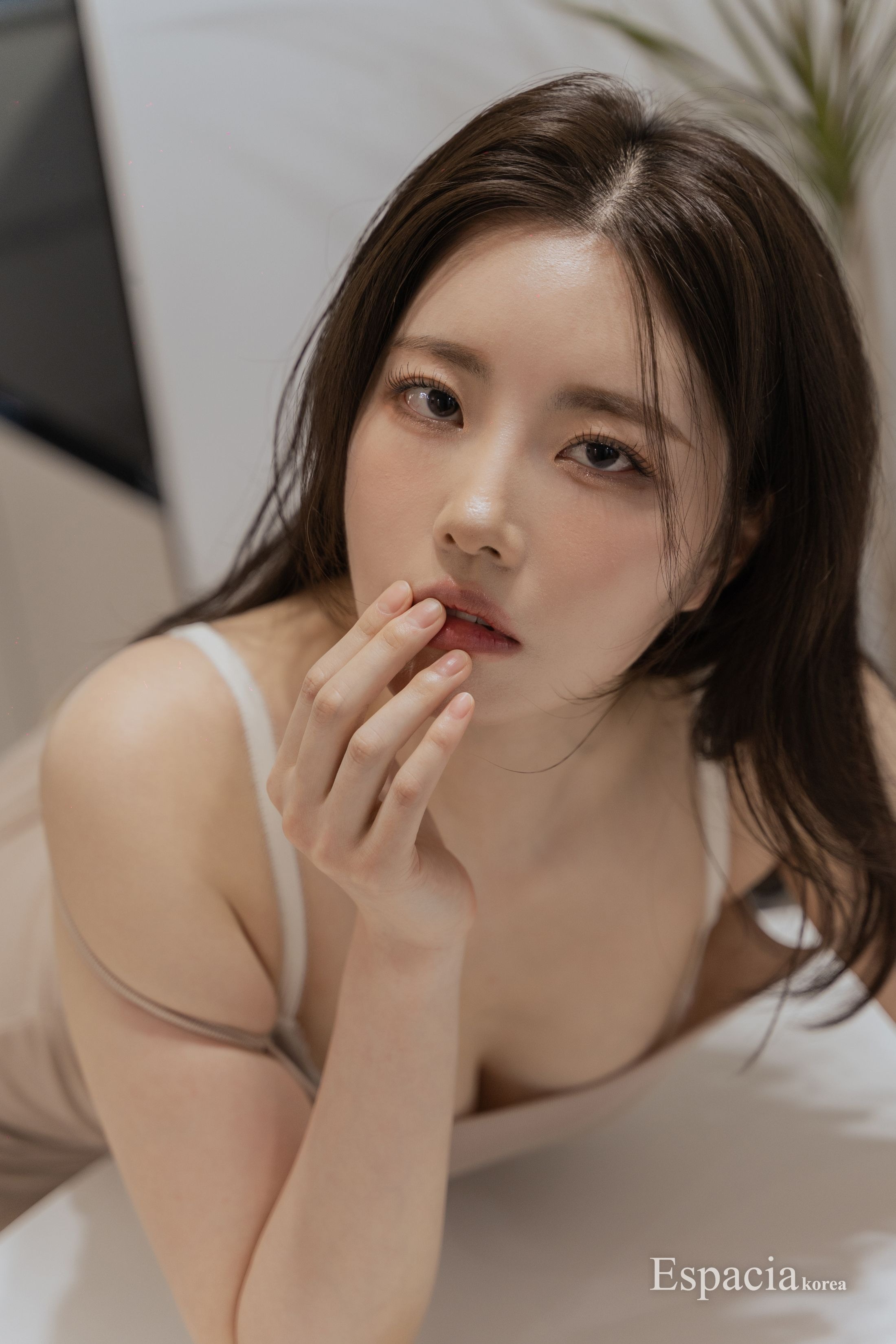 Espacia Korea] EHC 089 YUA 50P