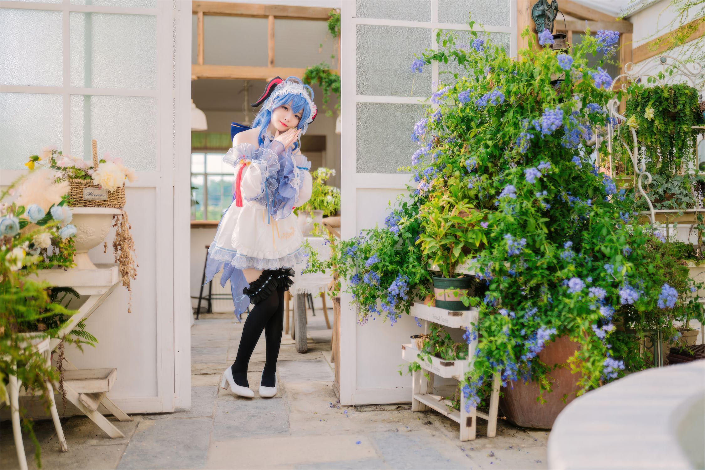 花铃 甘雨女仆