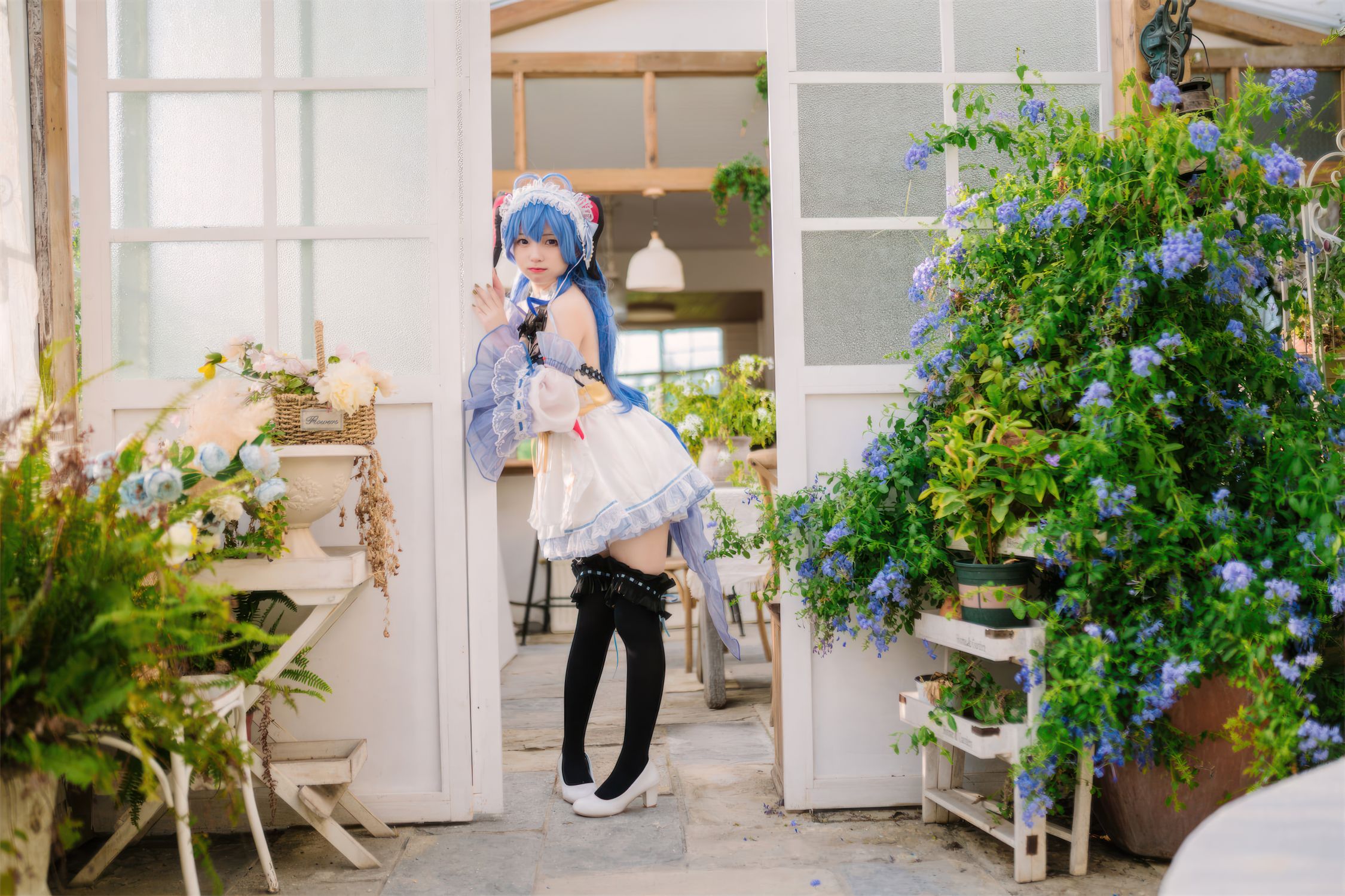 花铃 甘雨女仆