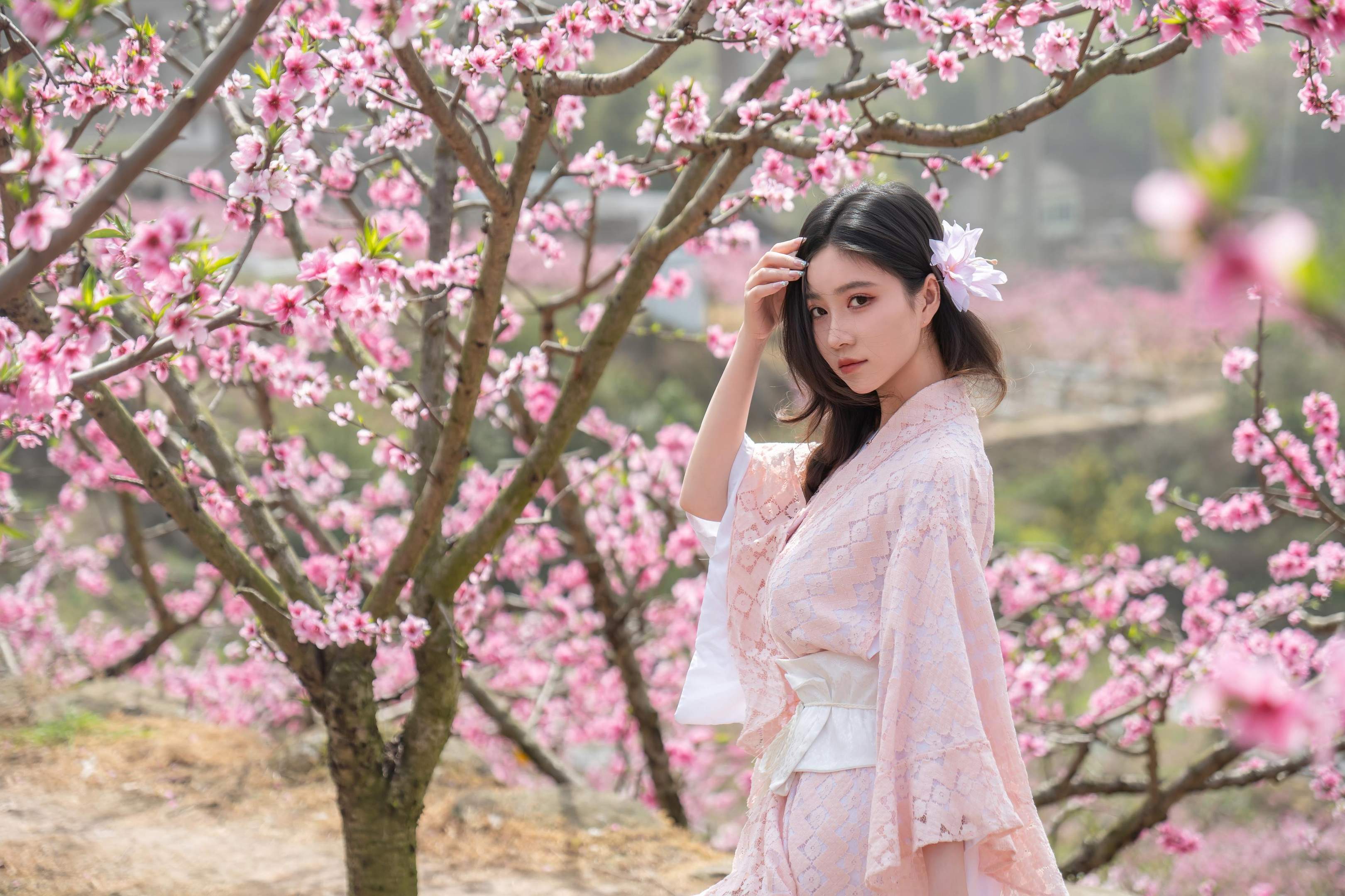 '[私房] Nnian Năm Năm - Mạn Hoa: Cảnh Ngoại Cổ Điển Hoa Anh Đào Kết Hợp Với Không Gian Nhật Bản, Trình Diễn Đầy Mềm Mại 86P'