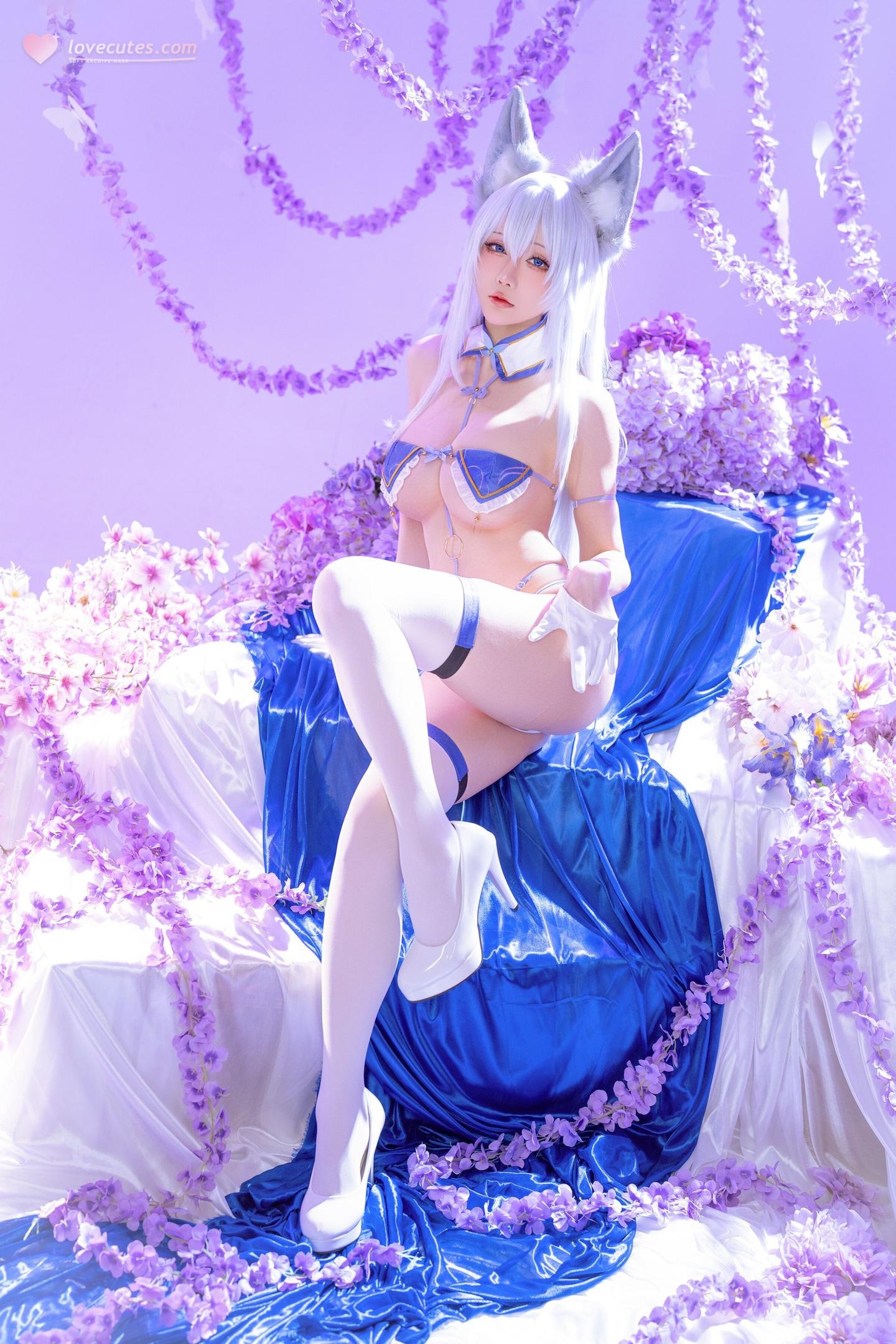 [cosplay] 星之迟迟Hoshilily - 碧蓝航线 信浓：狐耳白发蓝白礼装 白丝巨乳还原 60P