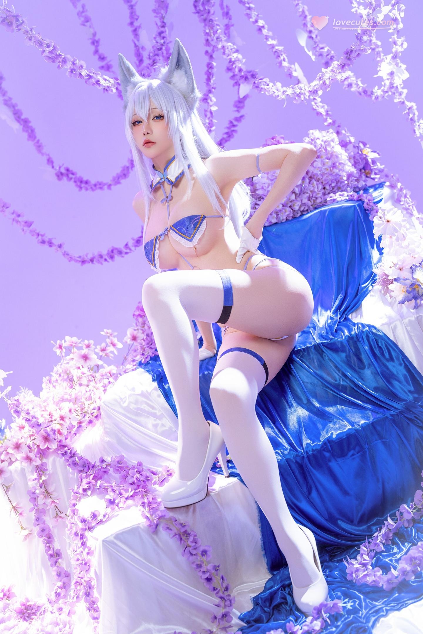 [cosplay] 星之迟迟Hoshilily - 碧蓝航线 信浓：狐耳白发蓝白礼装 白丝巨乳还原 60P