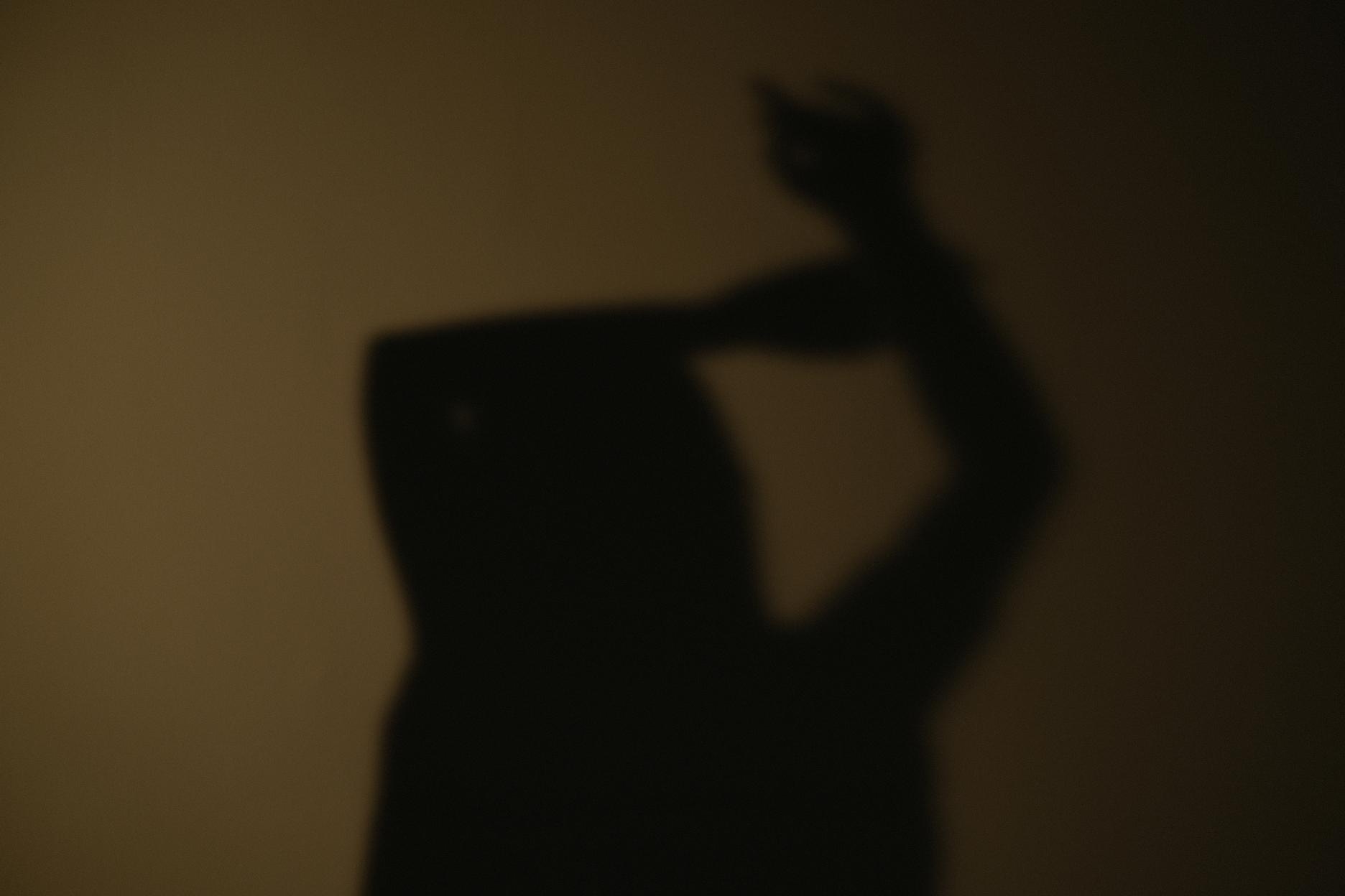 [写真] 钛合金TiTi - 夢：花束光影裸体人体艺术大尺度 39P